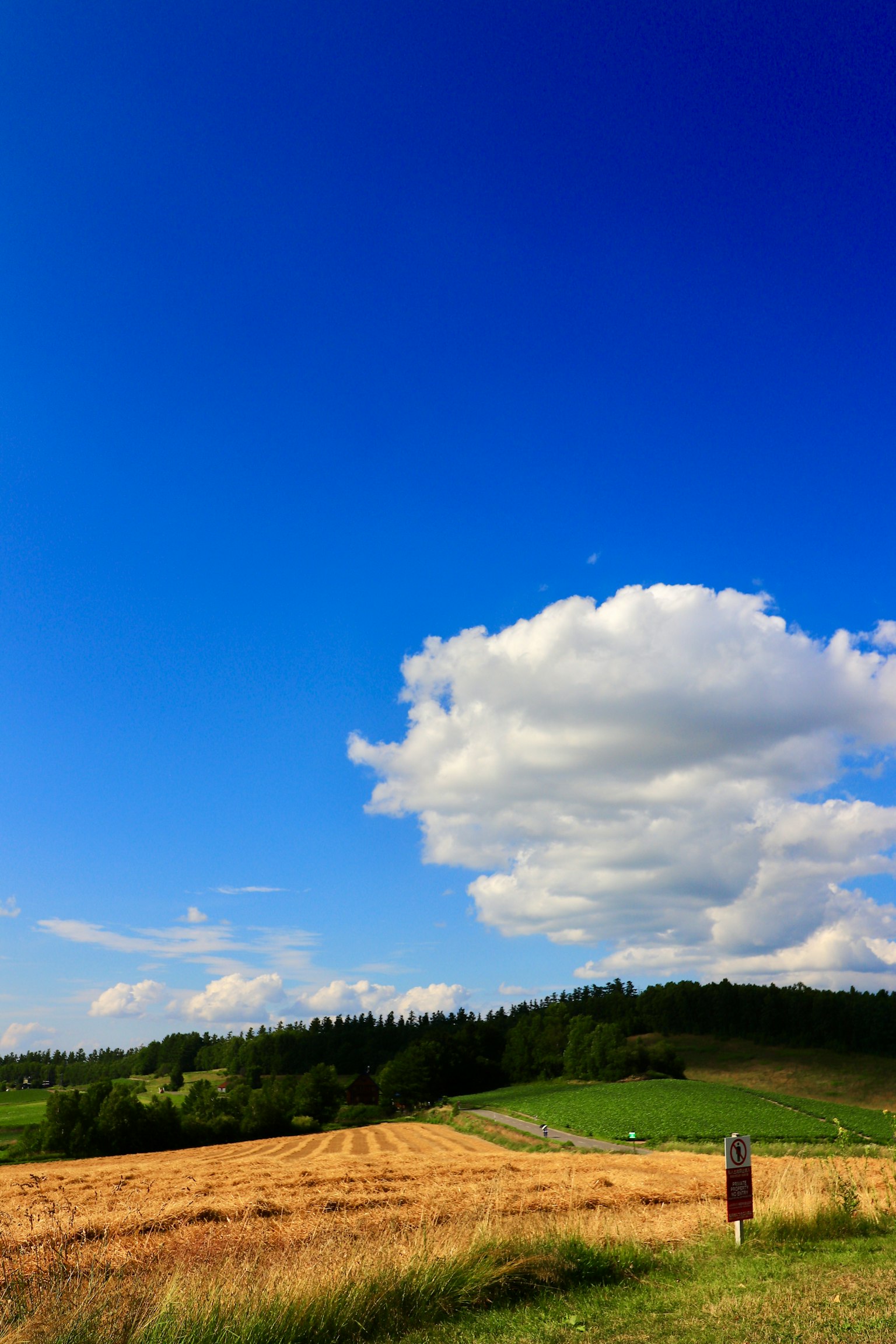 美麗的風景，藍天和白雲，展現麥田和綠色山丘