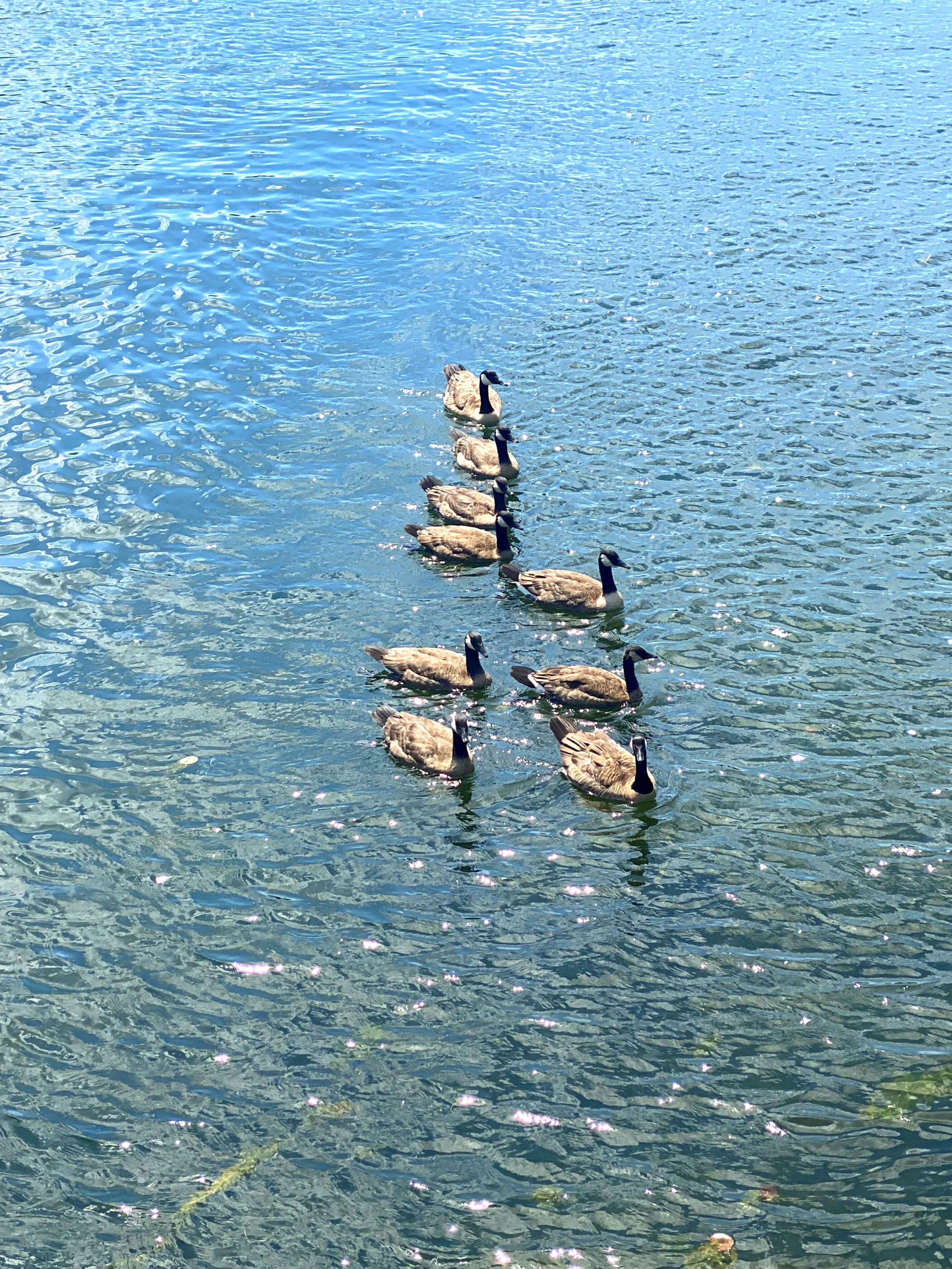 平静水面上的叠石