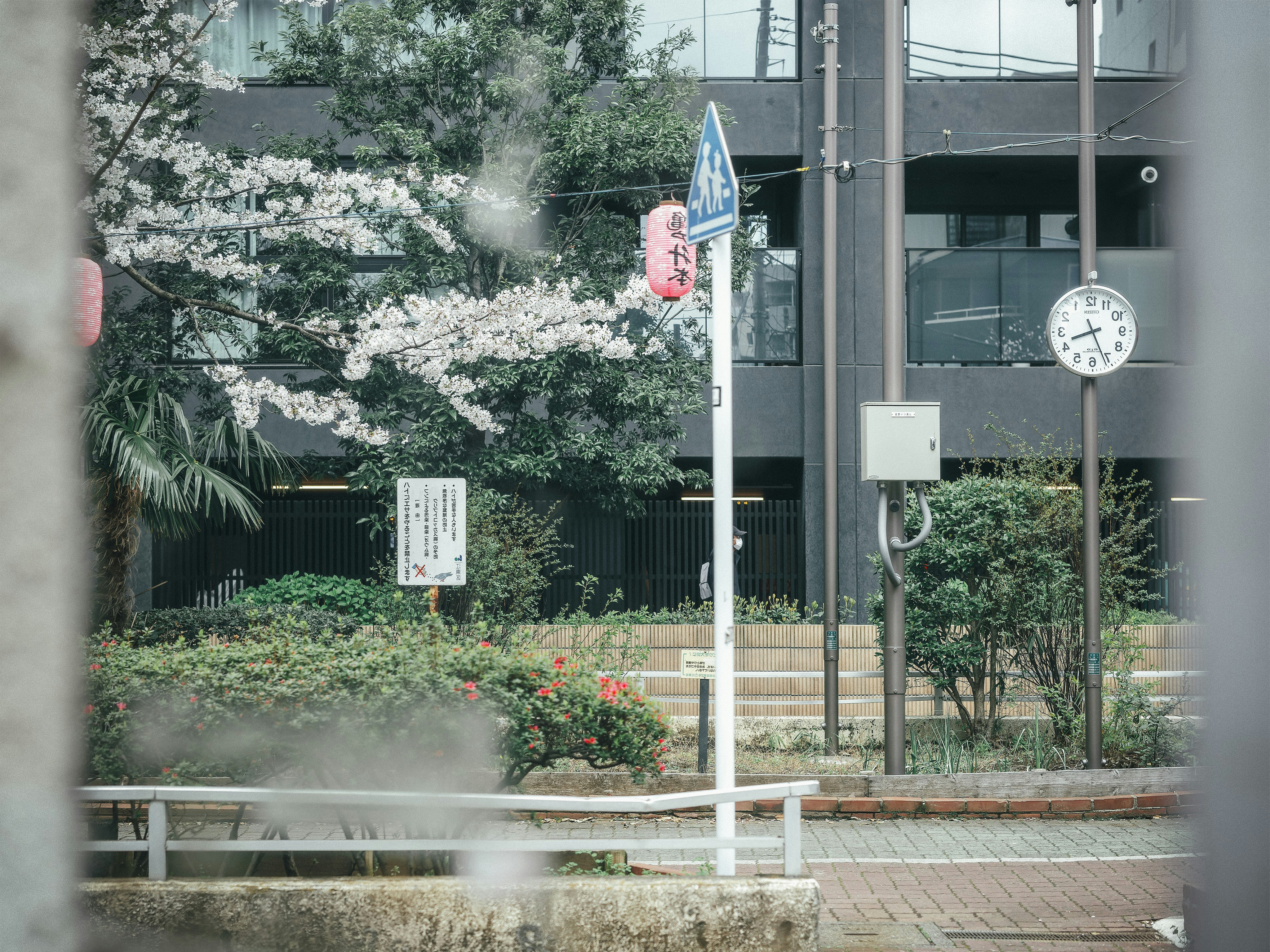街路樹の並ぶ歩道と青い案内標識のある都市の一角