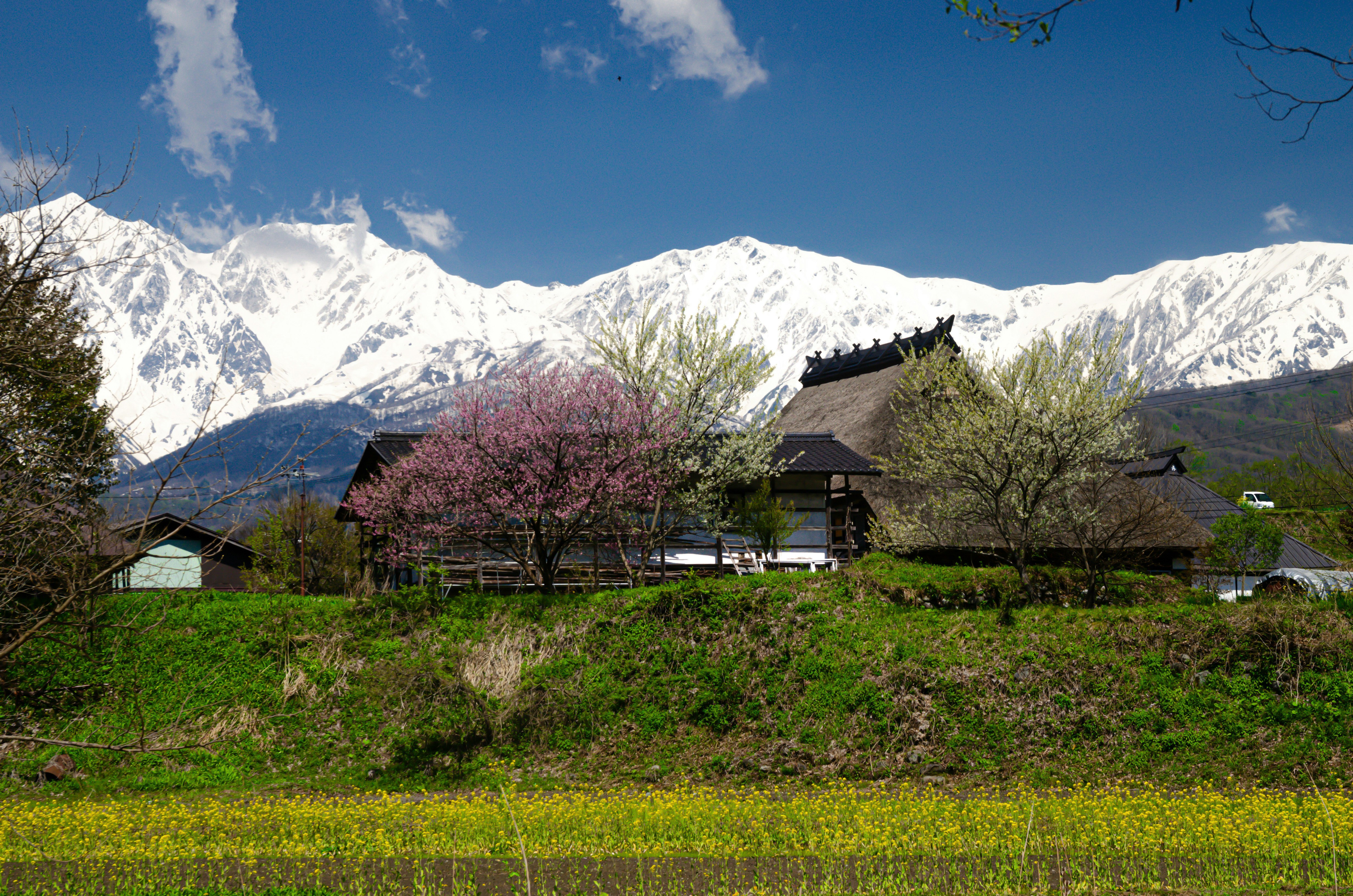 雪山山脉与春季花朵映衬的乡村村落景色