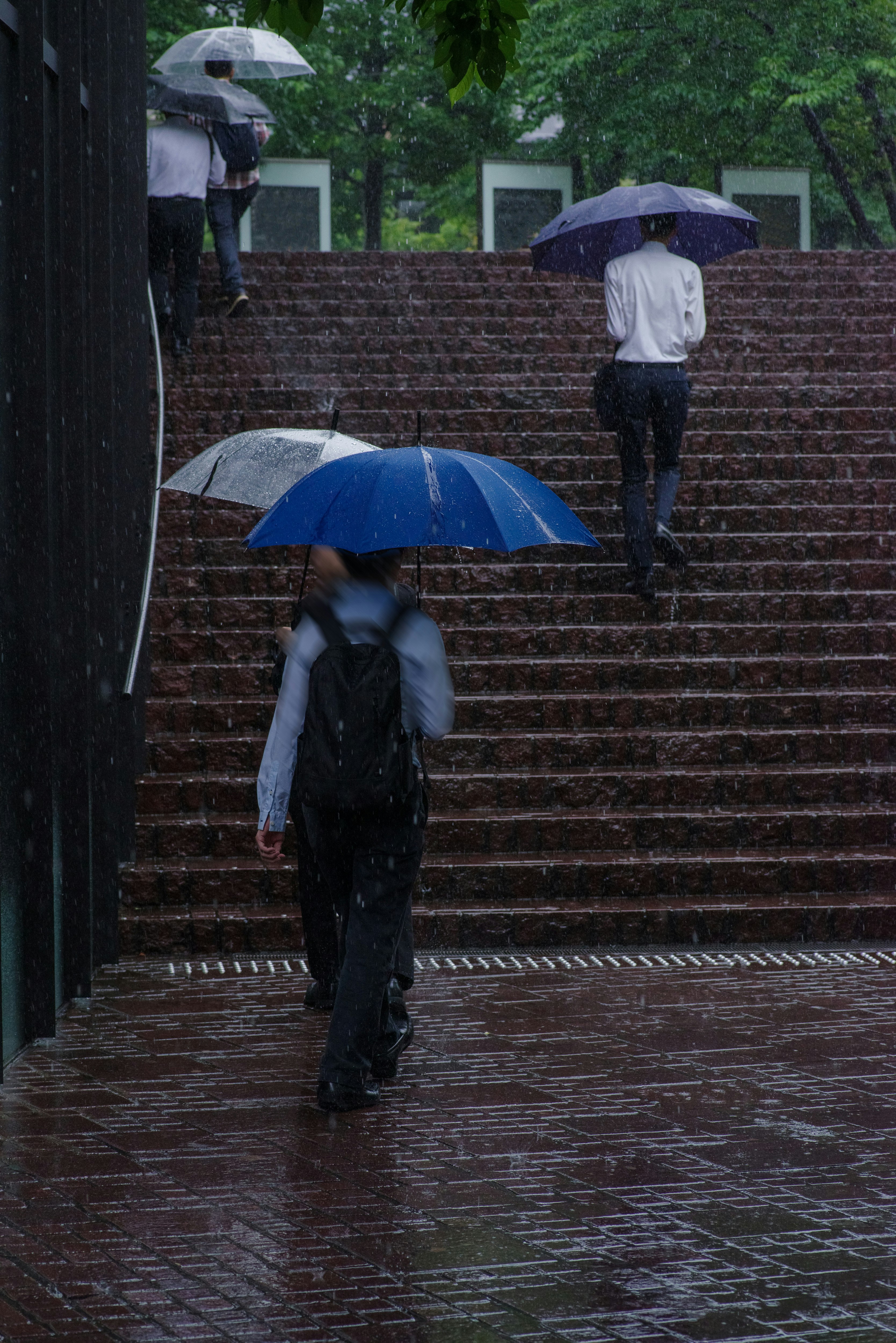 people walking on rainy steps with umbrellas