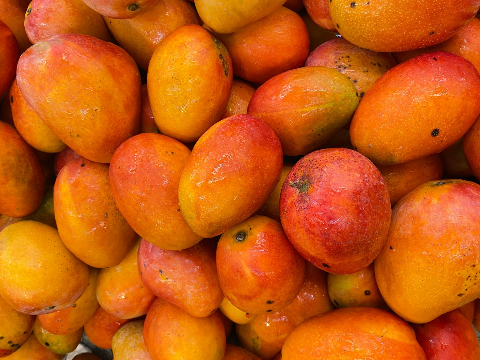 Una vibrante pila de mangos maduros
