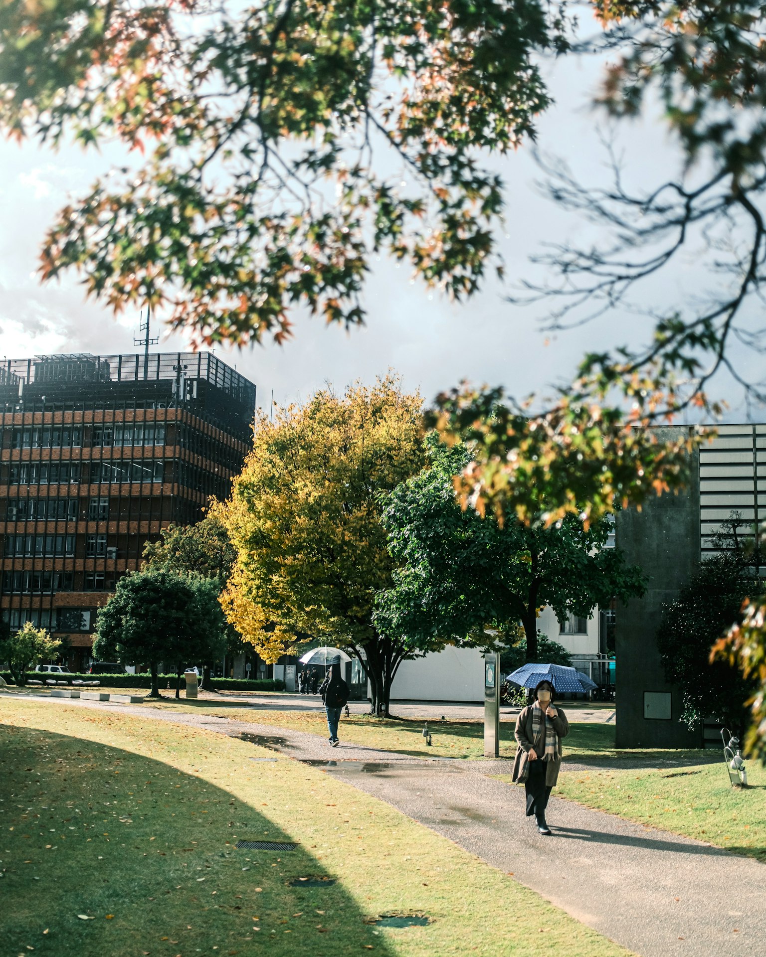 公園の中を歩く人々と色づいた木々の風景