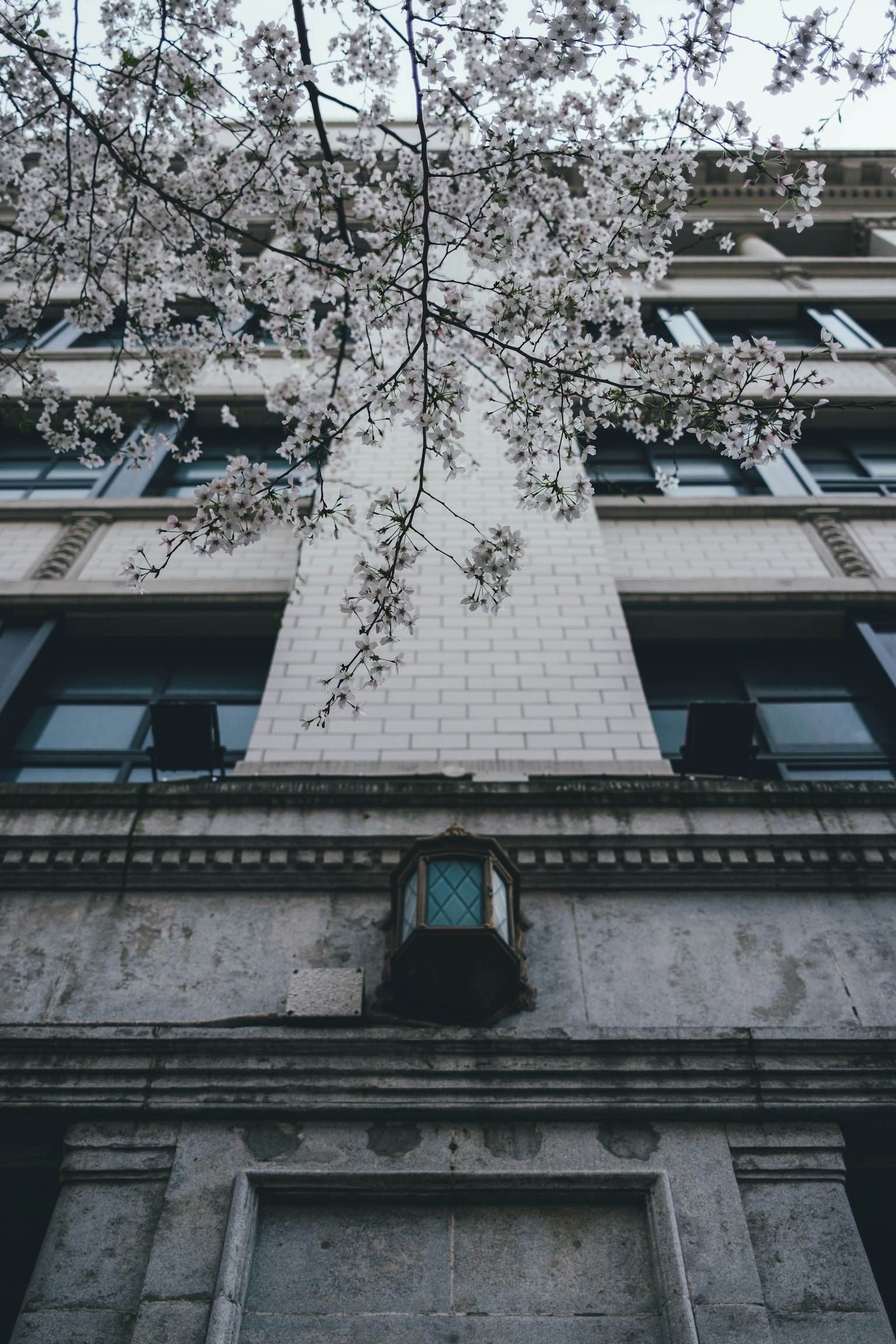 photo-XeAqX60UVuwNJaAcnCzn-image