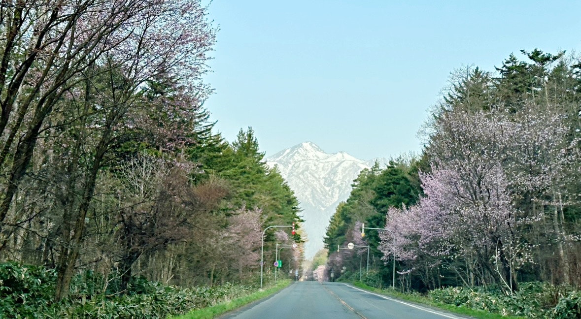 山を望む並木道の田舎の道路