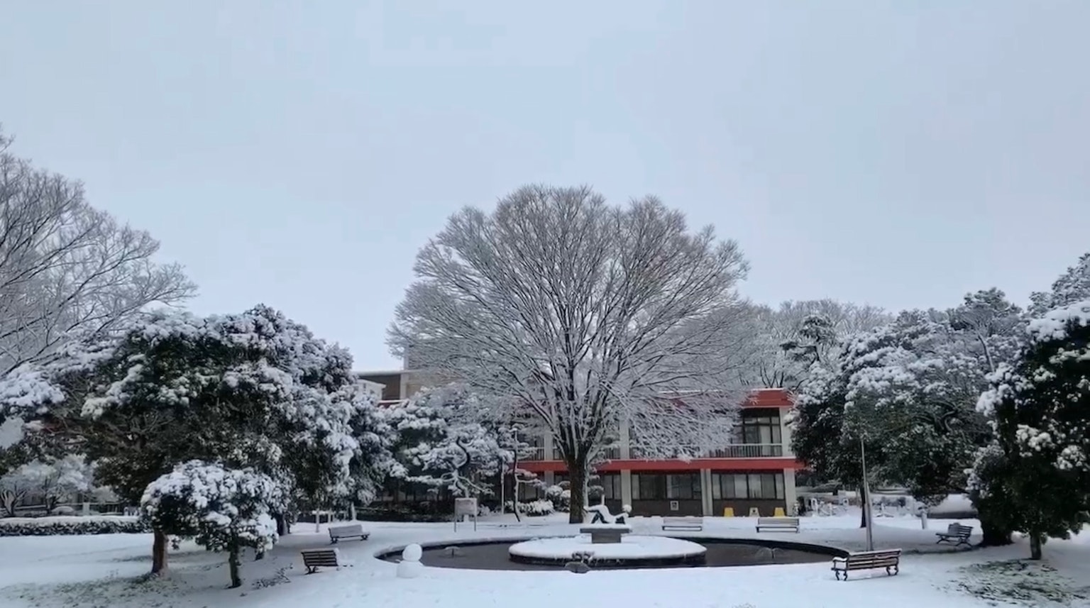 Schneebedeckte Parkszenen mit einem großen Baum und einem Gebäude