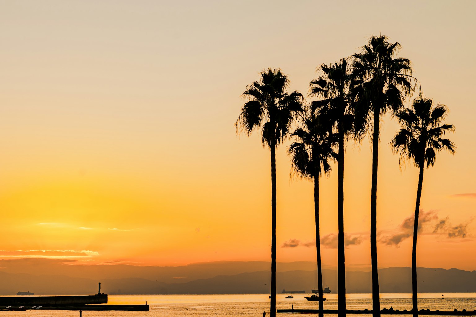 Palme nere silhouette contro un vivace tramonto sull'oceano