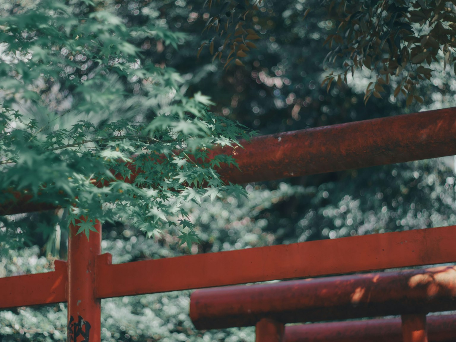 緑の木々の間にある赤い橋の一部