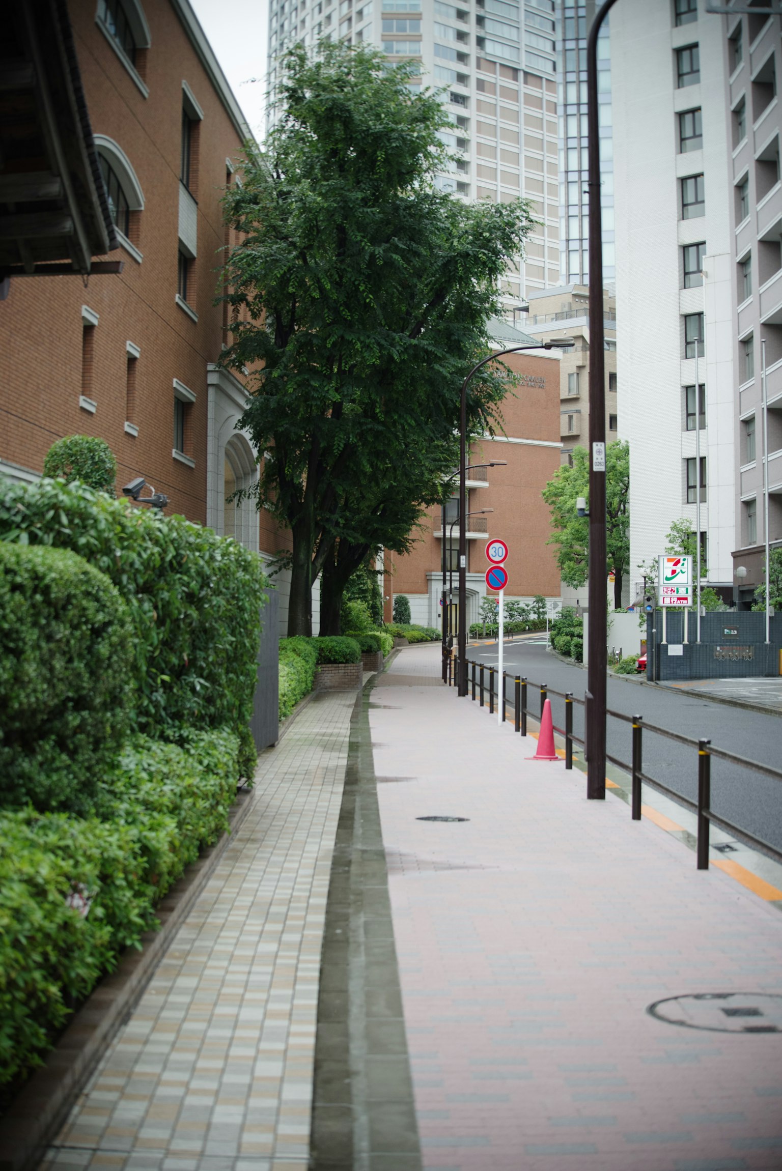 Escena urbana con una acera pavimentada y vegetación