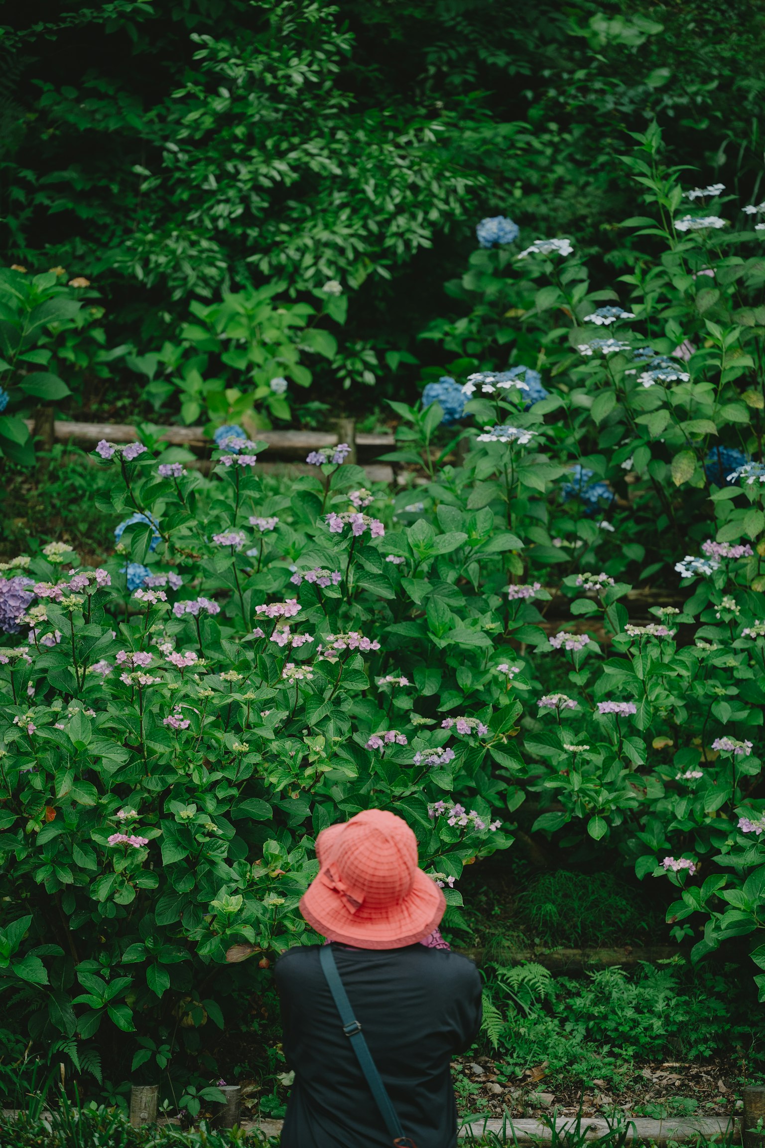 photo-XfxCGwjupl28LHdP8ZCb-image
