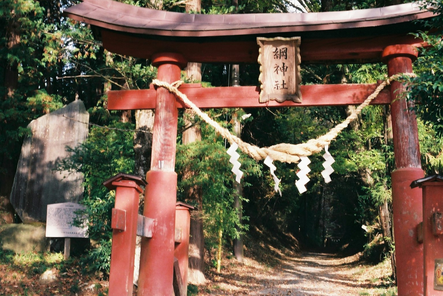 森林中的紅色鳥居和小徑