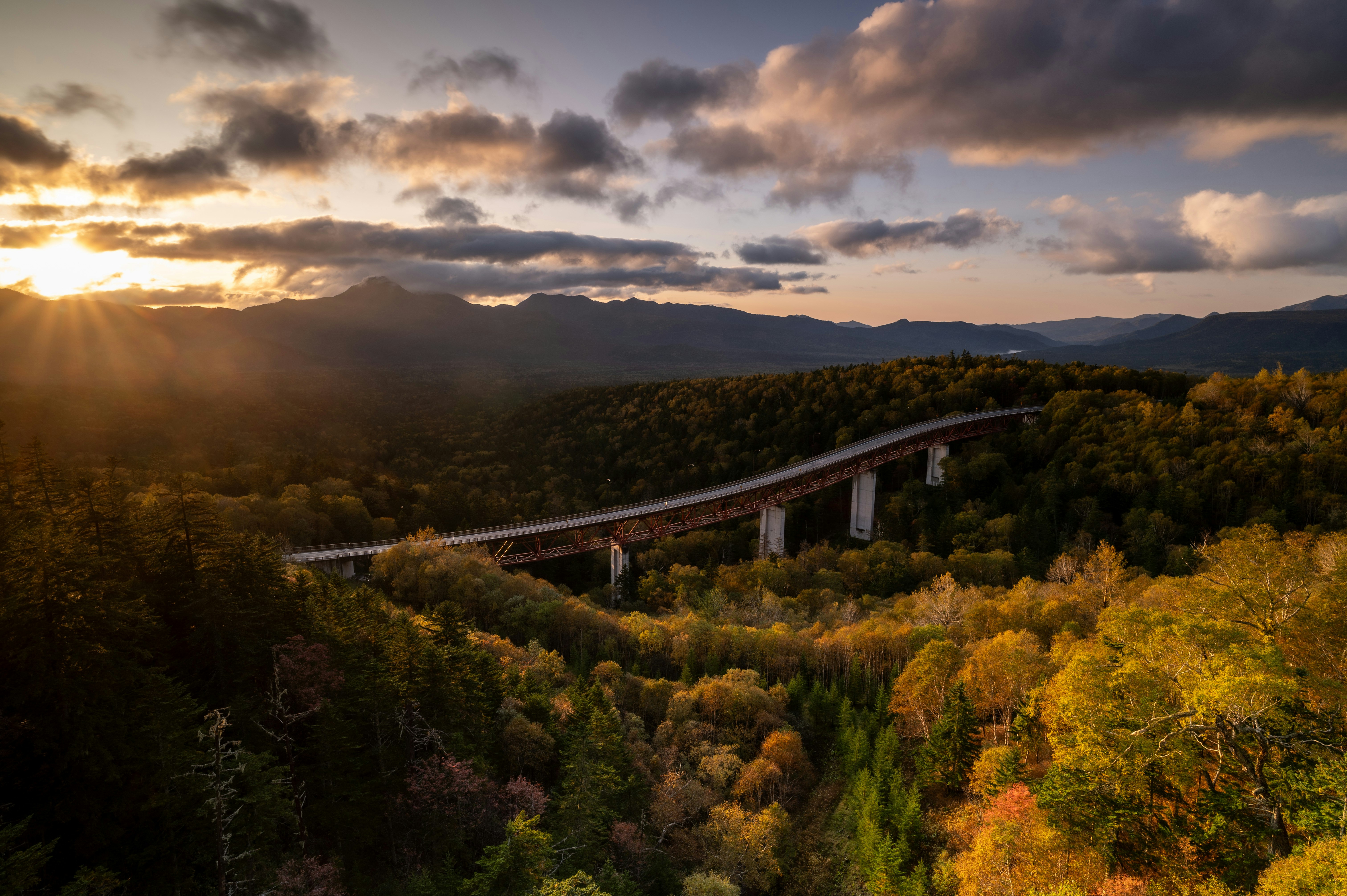 coucher de soleil sur une forêt avec un viaduc et une chaîne de montagnes
