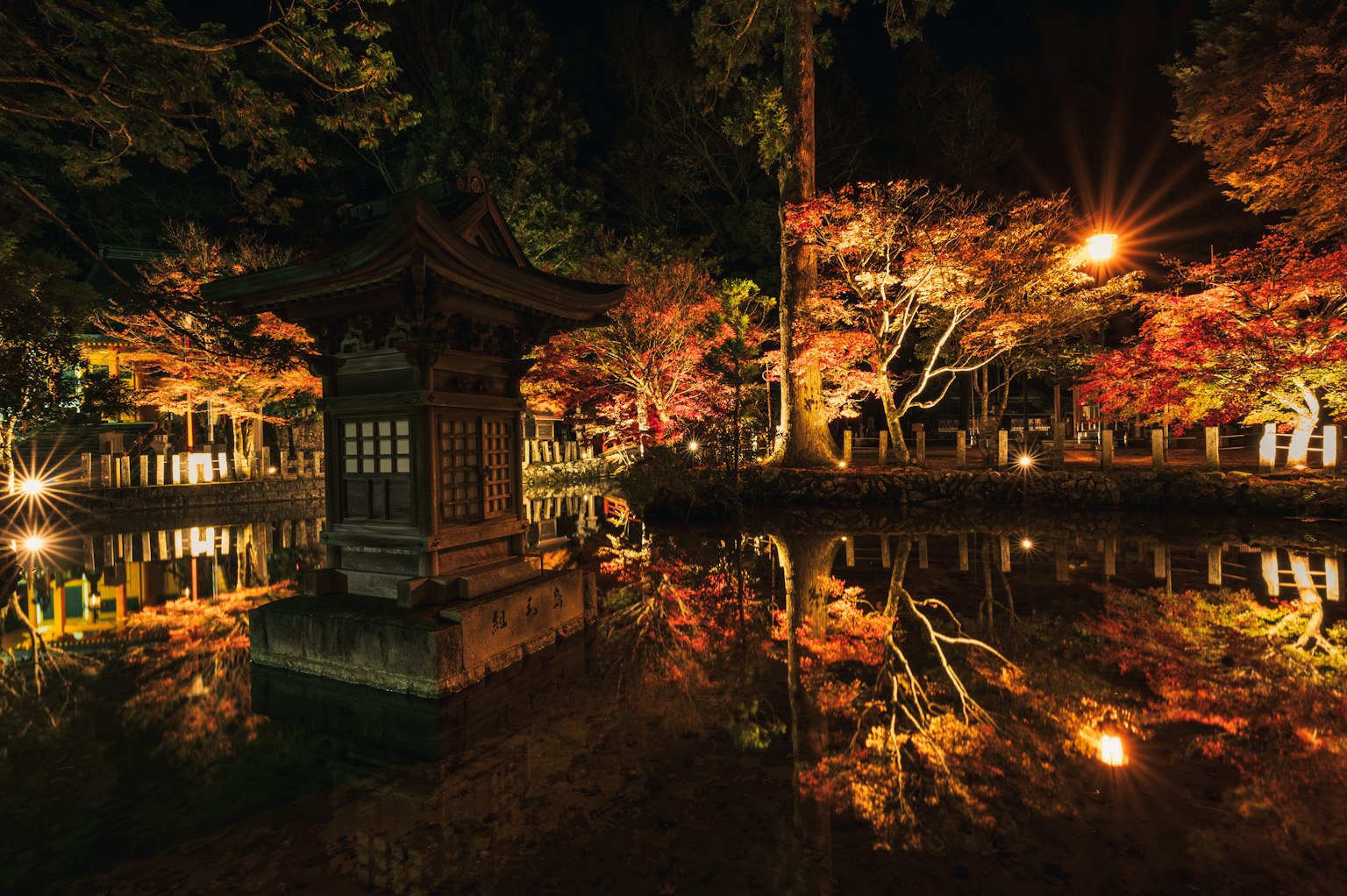 夜晚池塘中秋葉和燈光的美麗景象