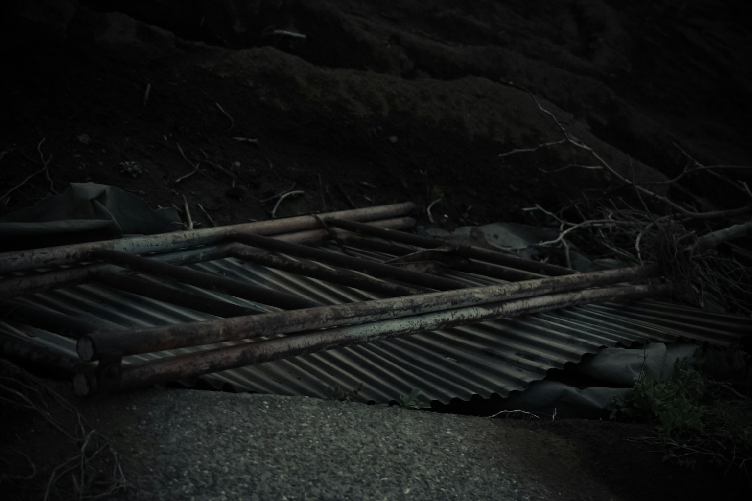 Rusty metal rods and a metal sheet resting on branches in a dark setting