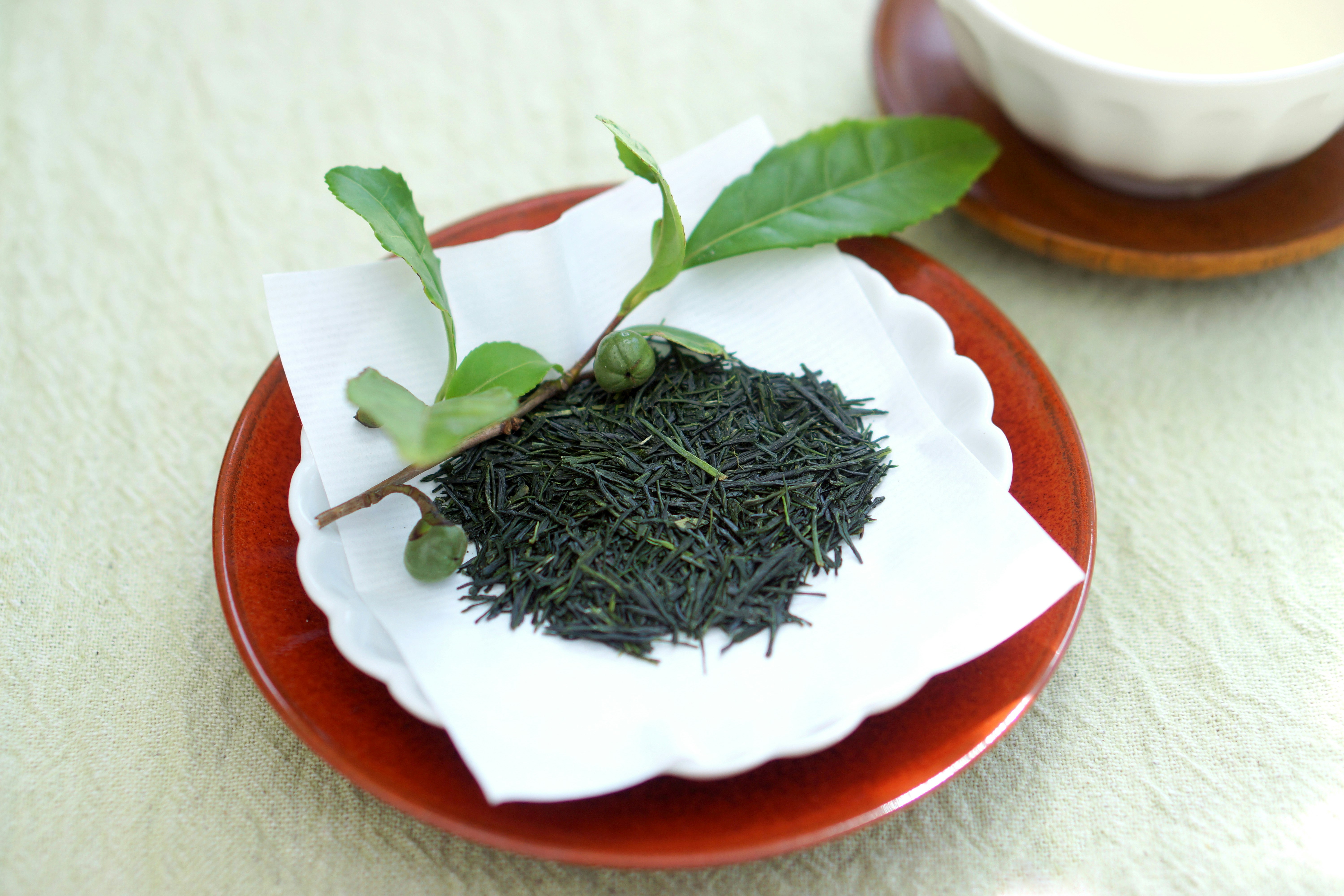 緑茶の茶葉と湯気のない茶器のある和風の小皿