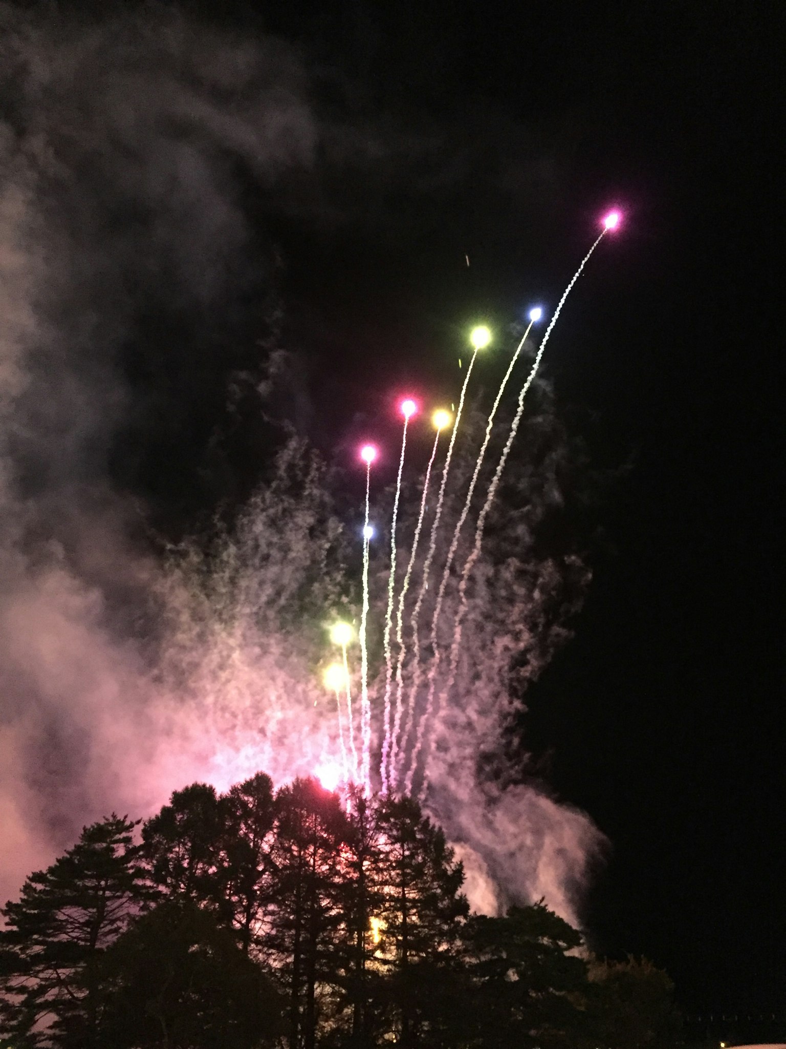 夜空中綻放的五彩煙花，煙霧和樹木在下面