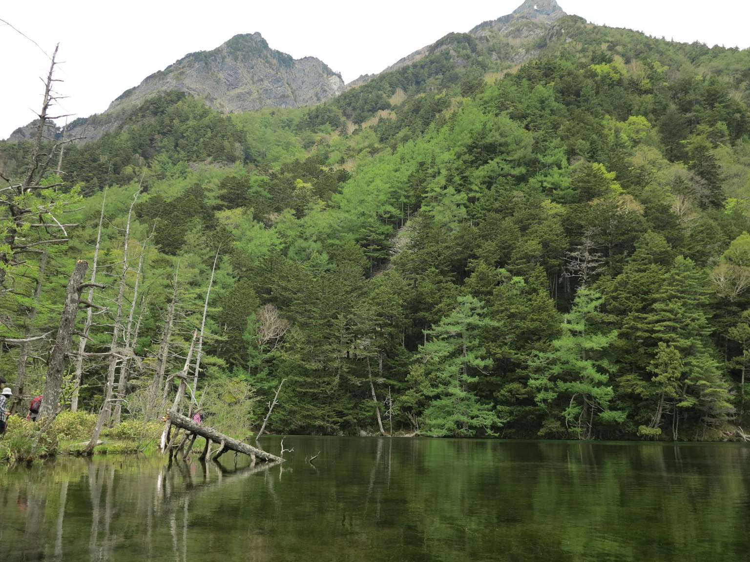 Lago sereno rodeado de montañas verdes