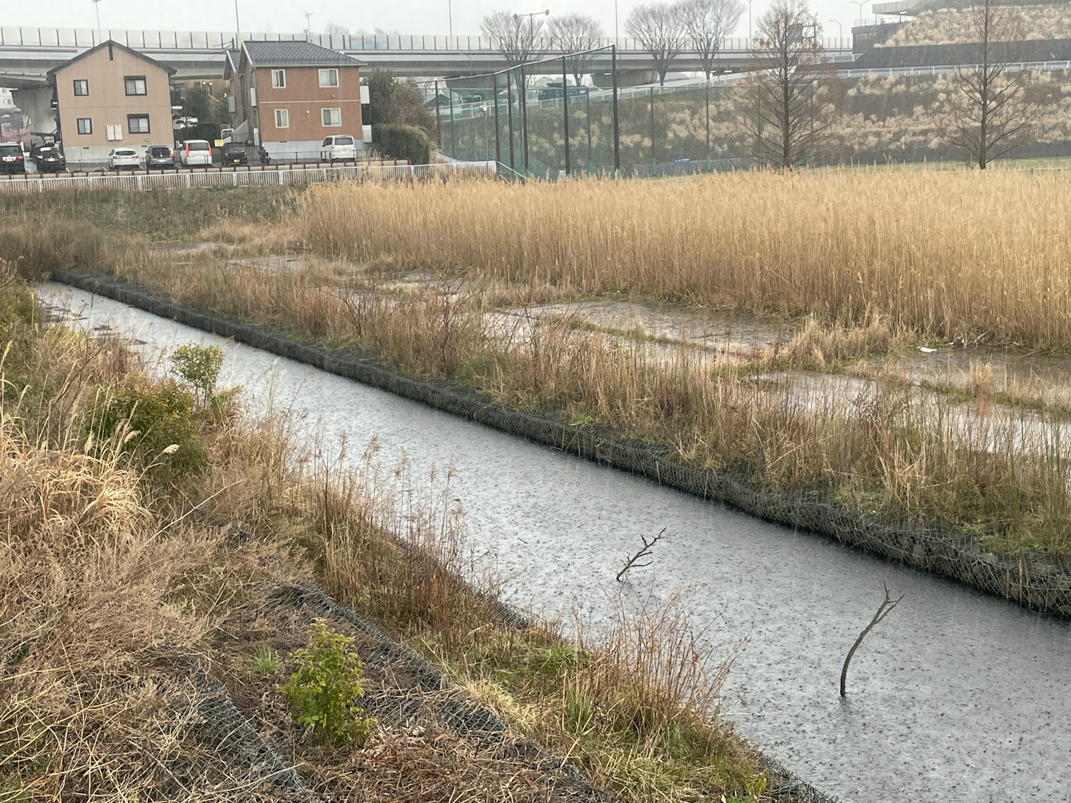 背景中有小溪和干燥草原的风景，房屋在后面