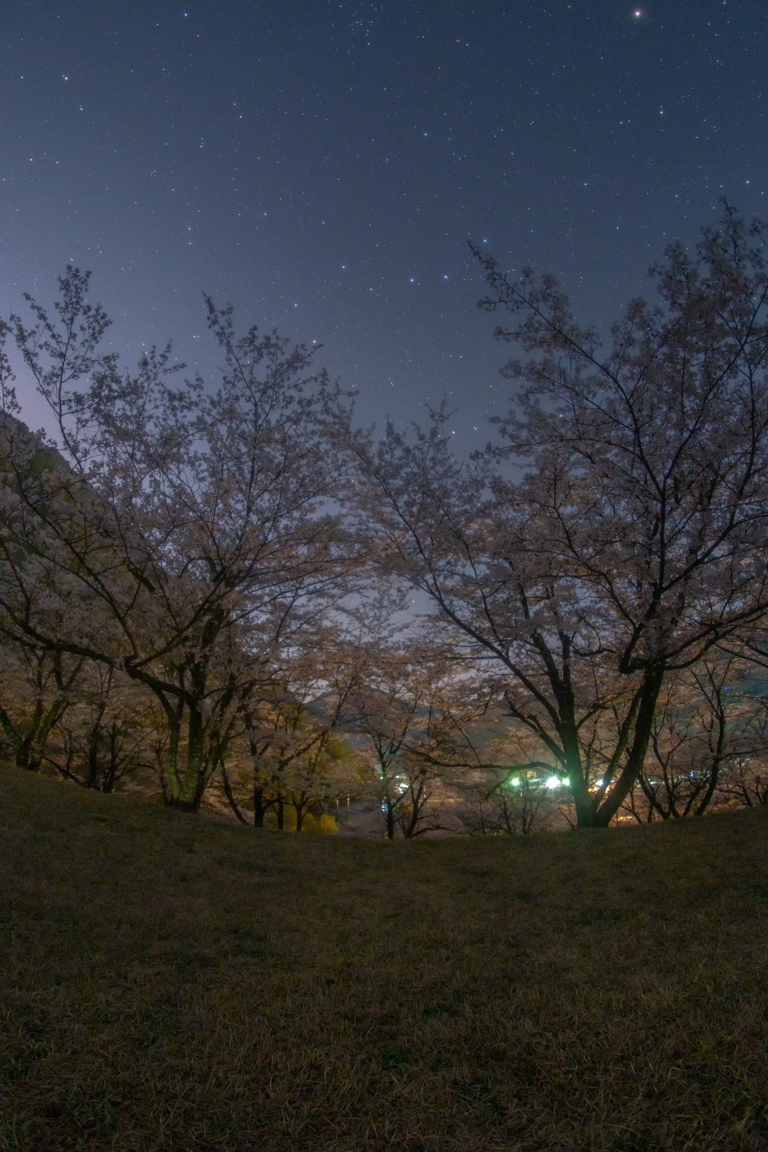 photo-Xihj0qBNq7zCIETSAN5n-image