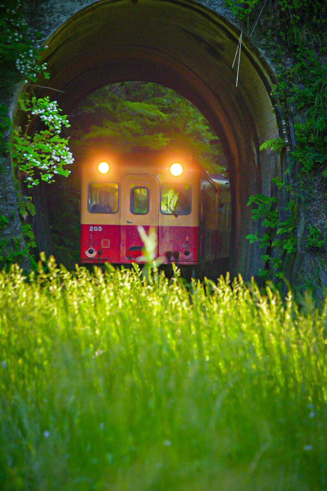 แสงไฟของรถไฟแล่นผ่านซุ้มโค้ง