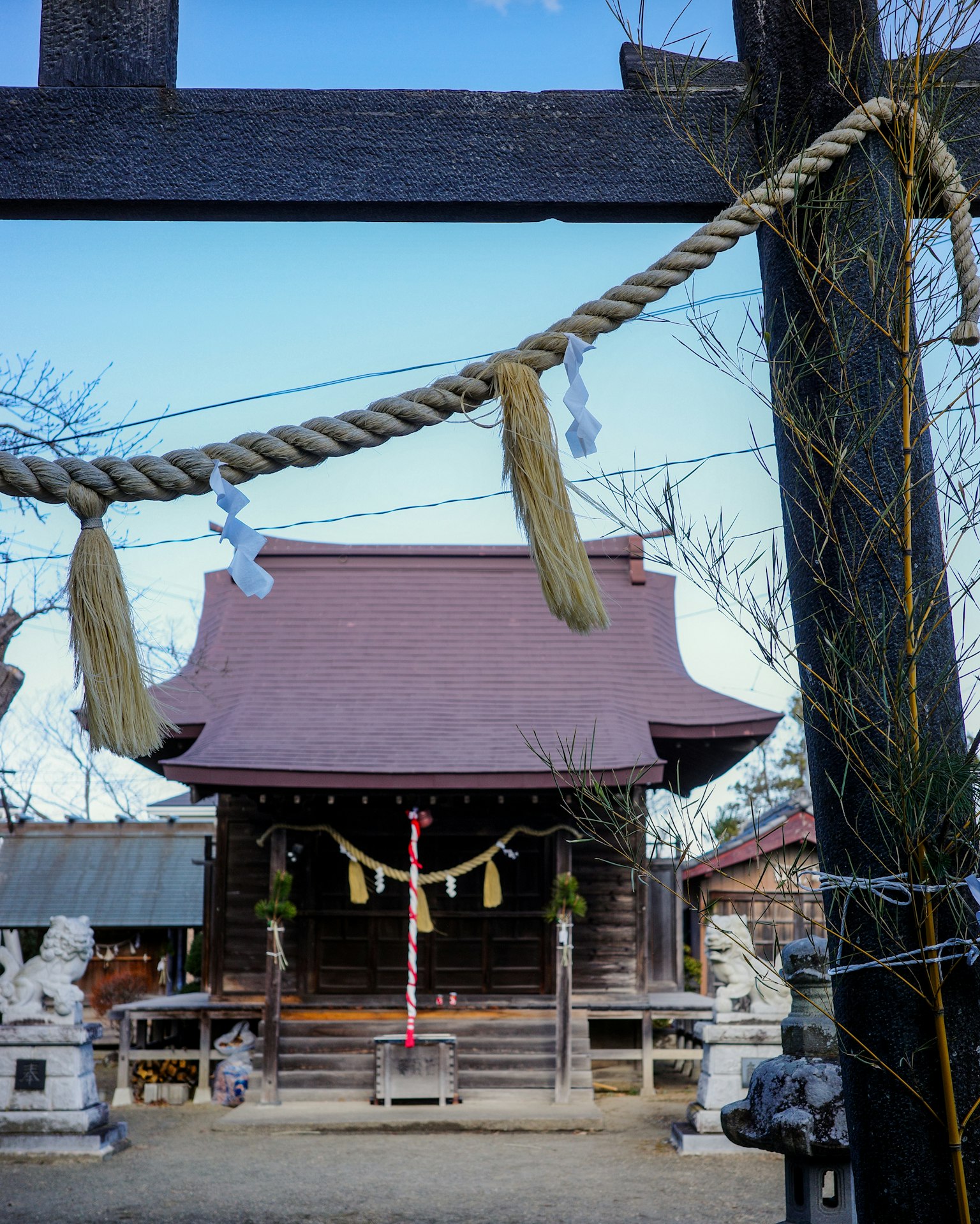 View of a shrine with a torii gate and traditional roof structure