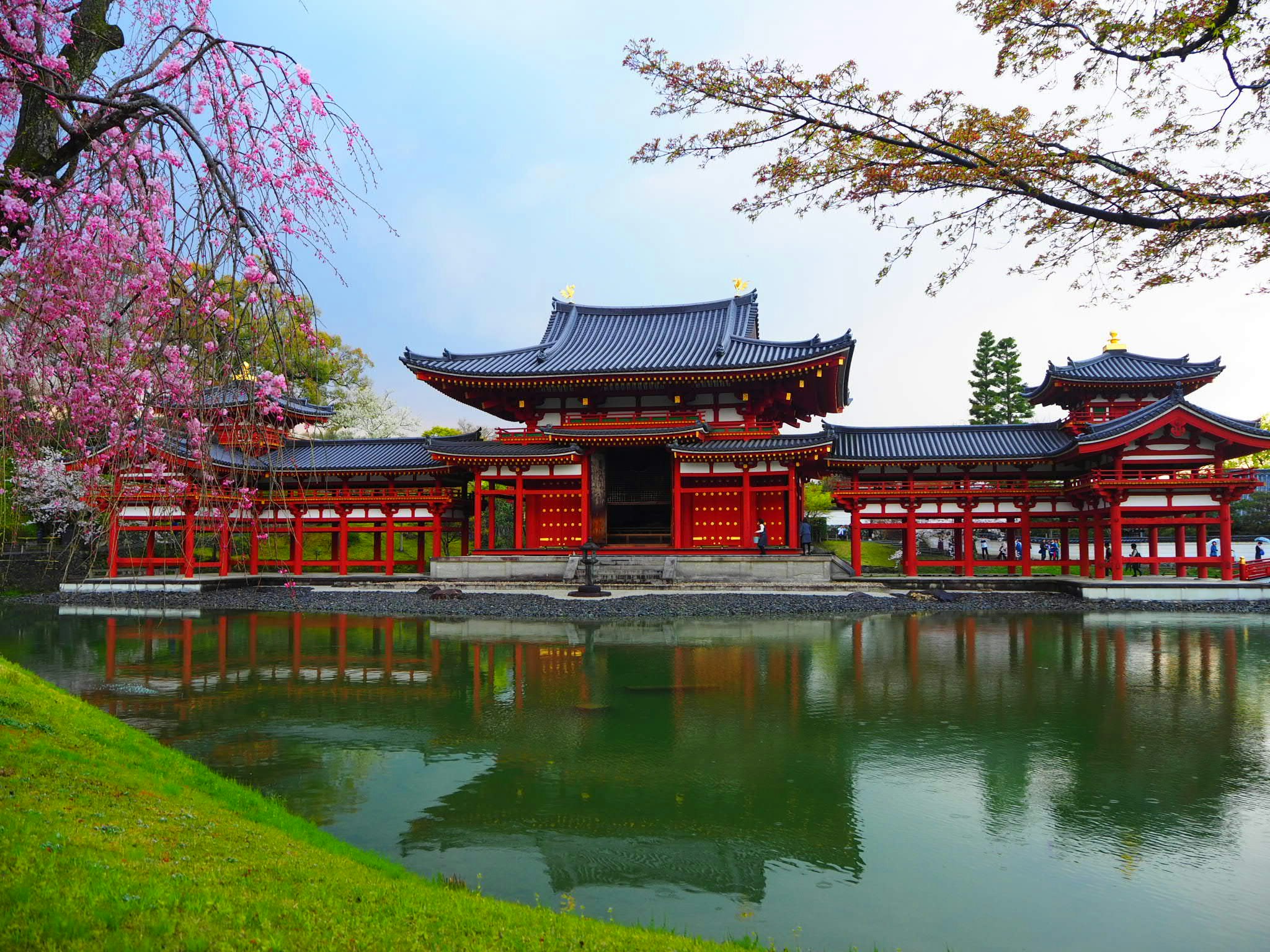 池に映る朱塗りの寺院建築と桜の枝