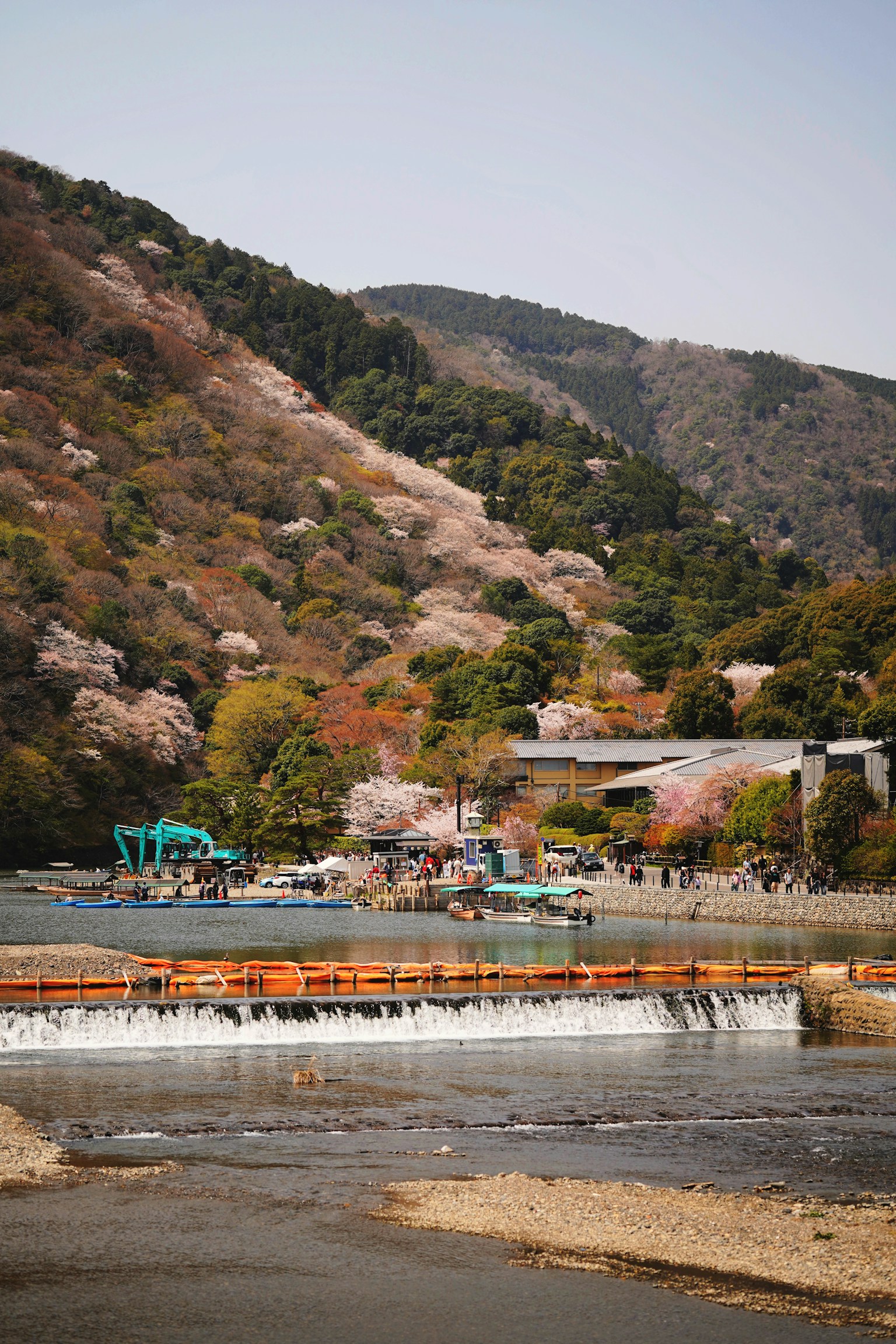 Scenic view of cherry blossom trees on mountains and a calm river