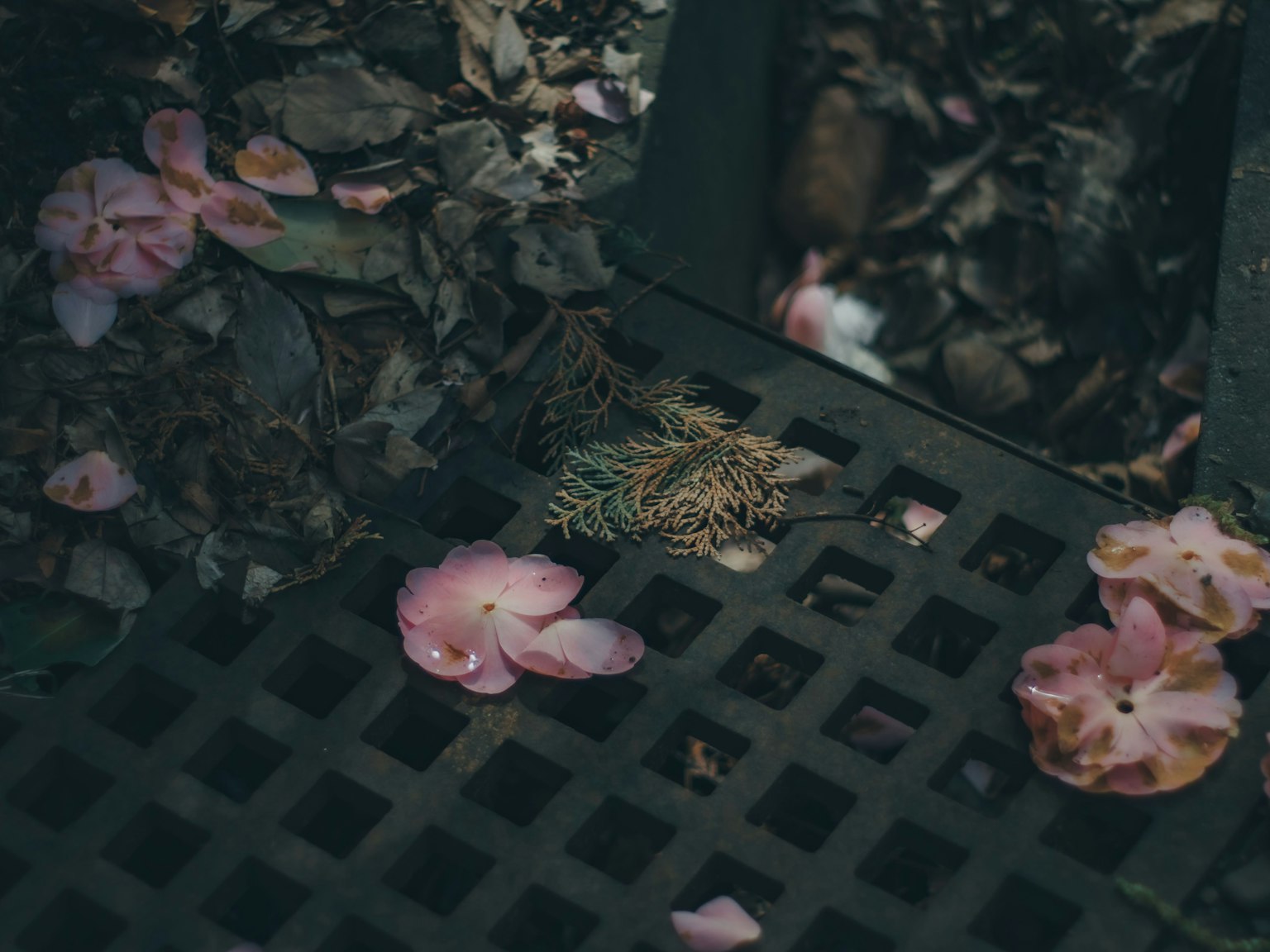 覆盖着落叶和粉色花瓣的格栅场景