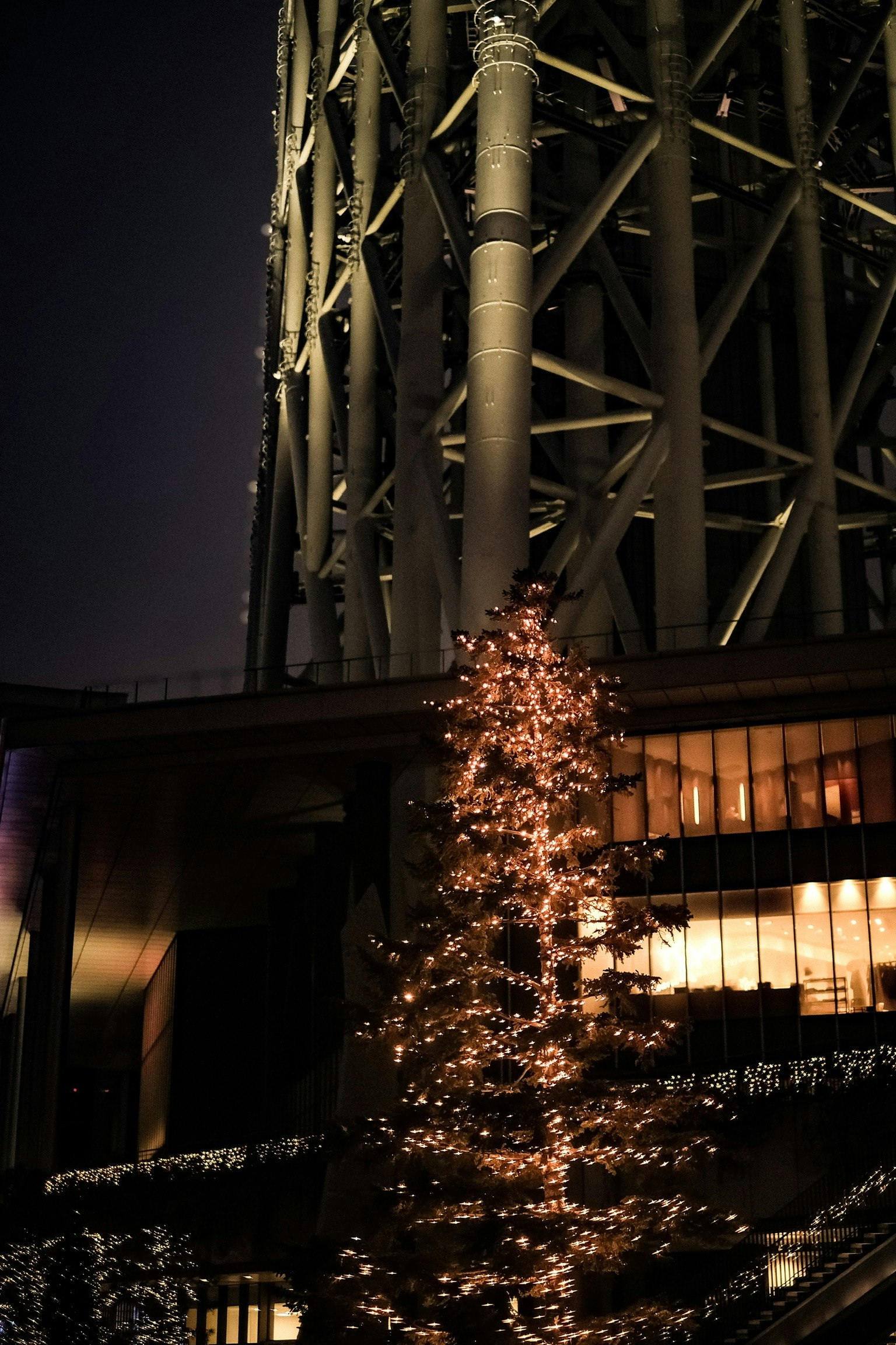 Árbol de Navidad iluminado por la noche cerca de un edificio moderno