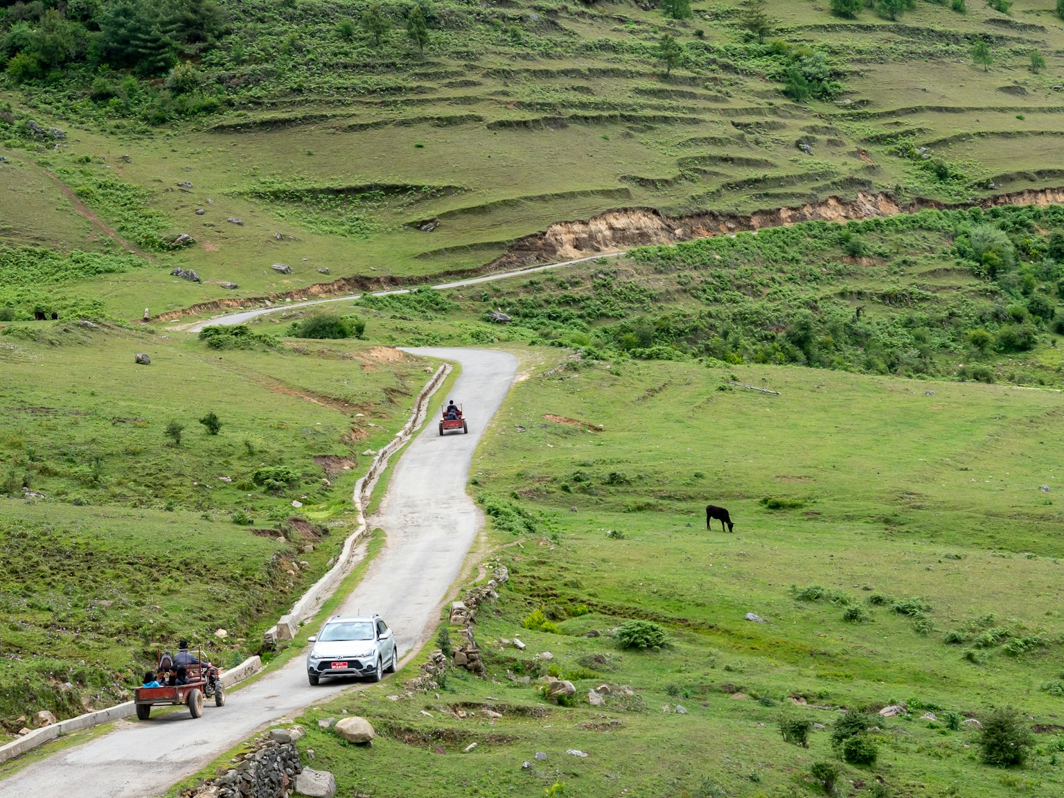 Vista escénica de un coche y una carreta tirada por caballos en un camino sinuoso a través de colinas verdes con campos en terrazas