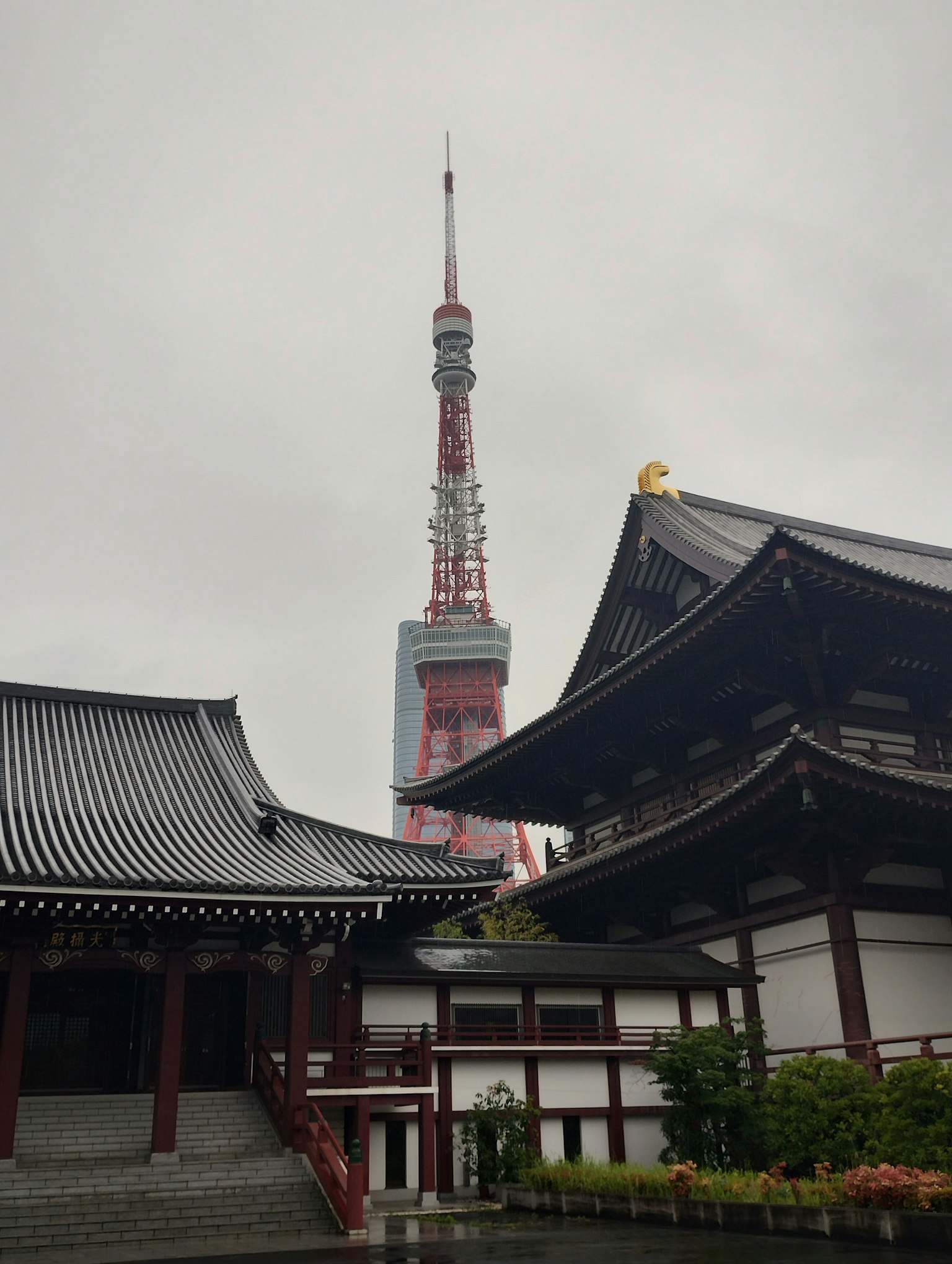 東京塔在傳統日本寺廟後面升起