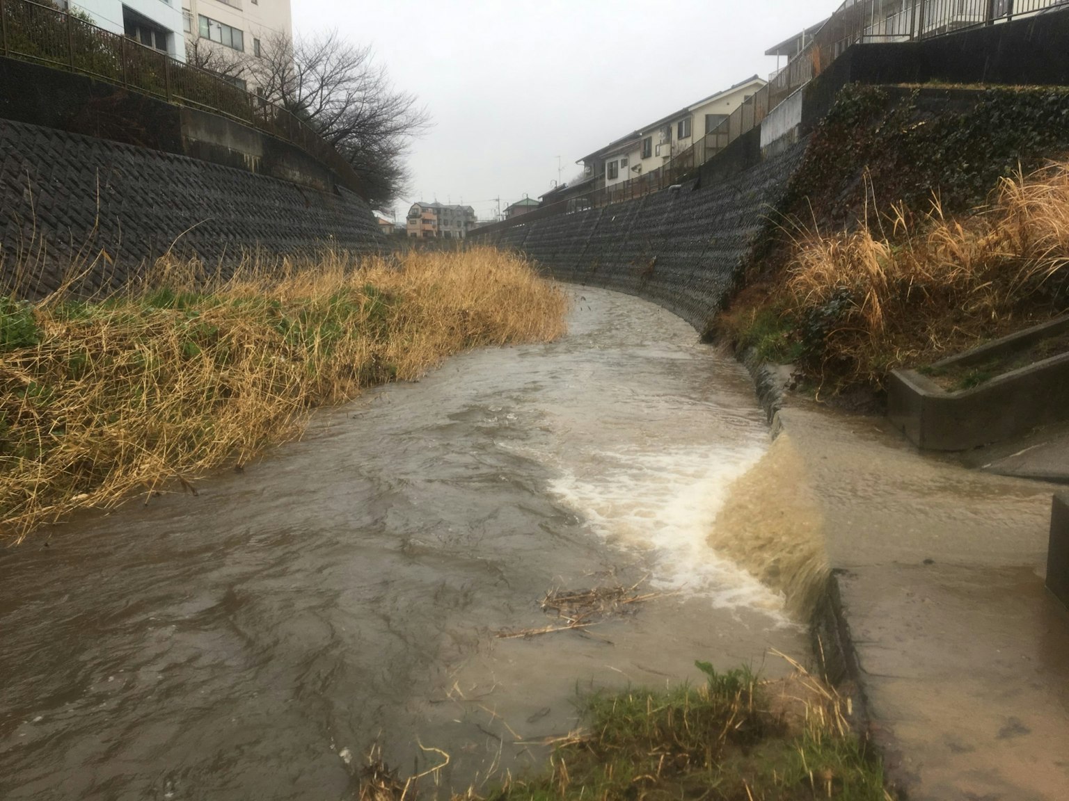 Fließender Fluss an einem regnerischen Tag mit grasbewachsenen Ufern
