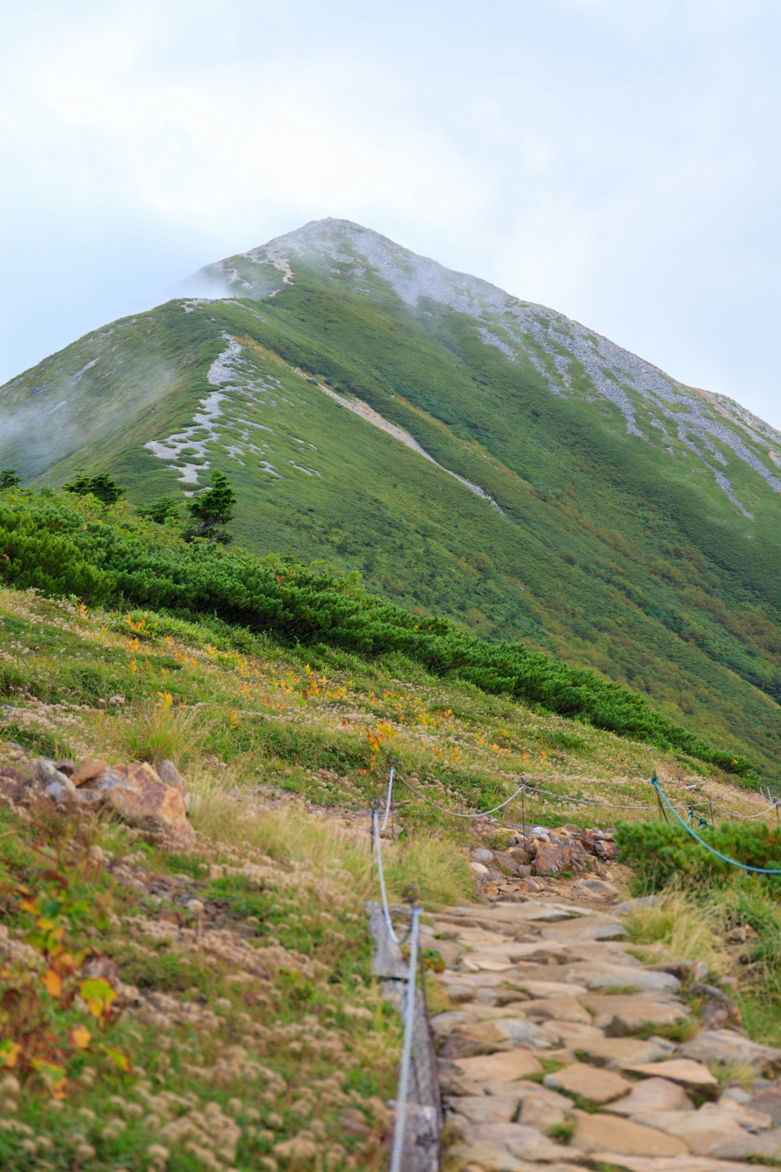 Malersicher Blick auf einen Bergweg, der zu einem grünen Hügel führt