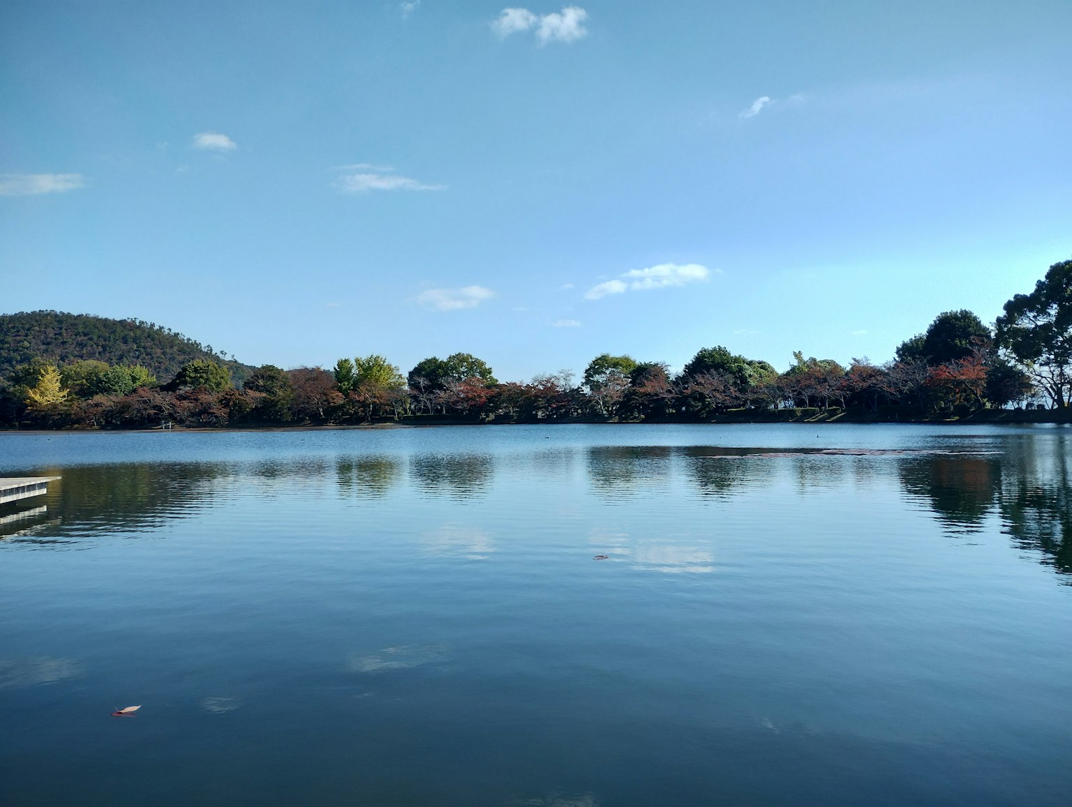 Vista serena del lago con cielo blu Superficie d'acqua riflettente circondata da alberi colorati