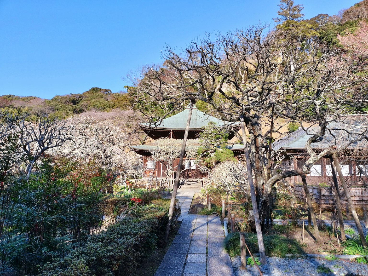 古老寺庙被花园和树木环绕的风景