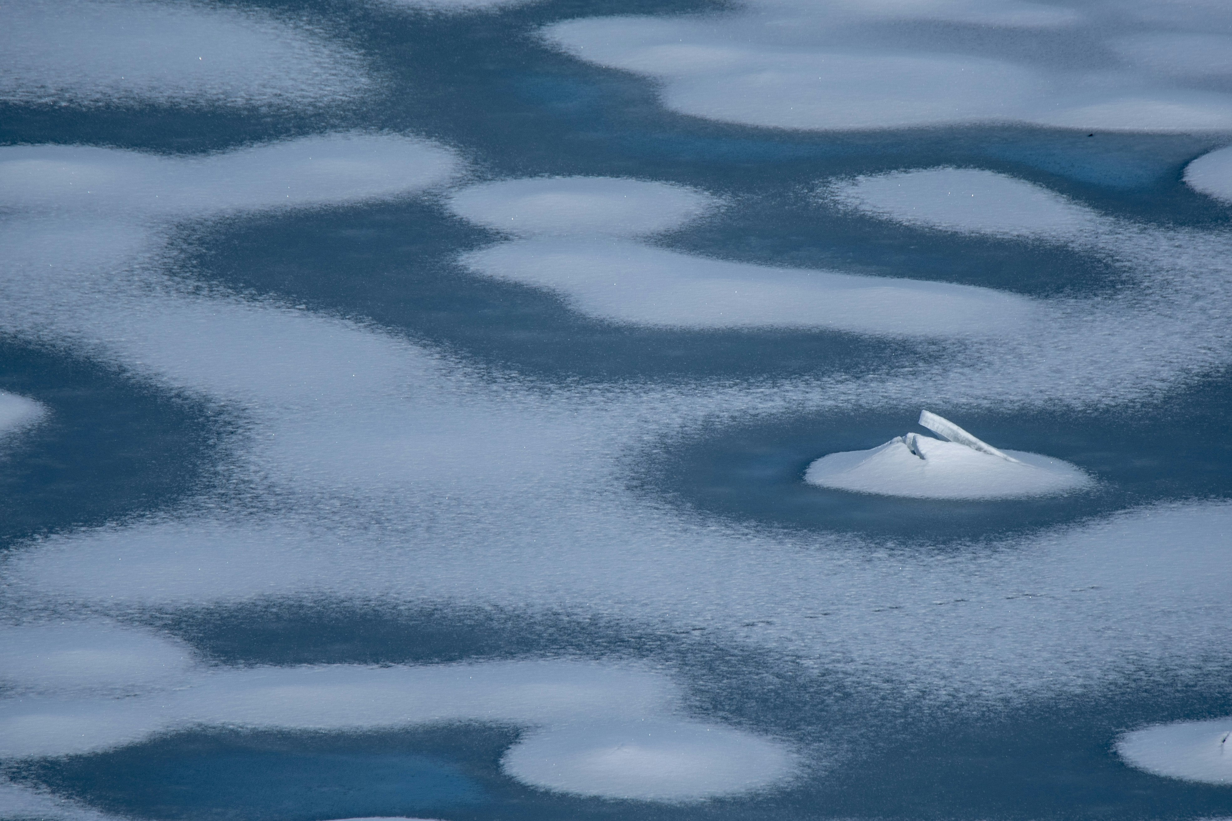 débris flottants blancs dérivant sur une surface océanique ondulée