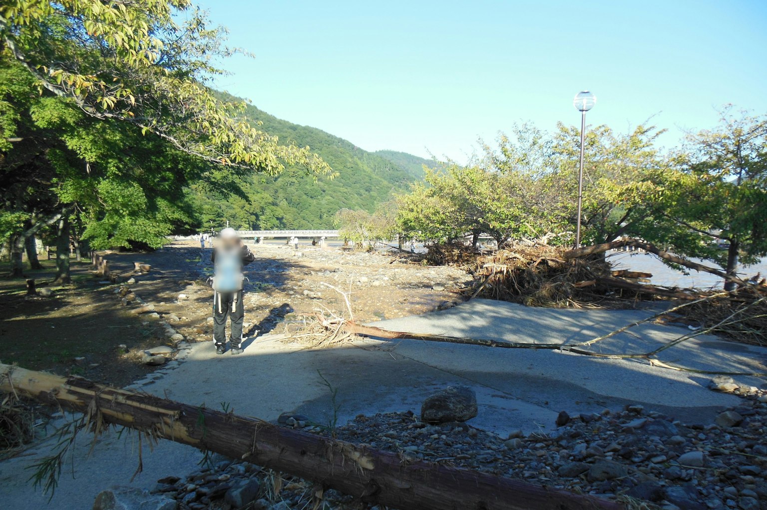 山間河岸的風景，散落著樹木和碎片