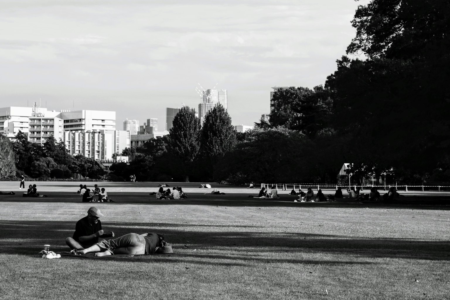 Schwarz-Weiß-Szene von Menschen, die sich in einem Park mit städtischer Skyline entspannen