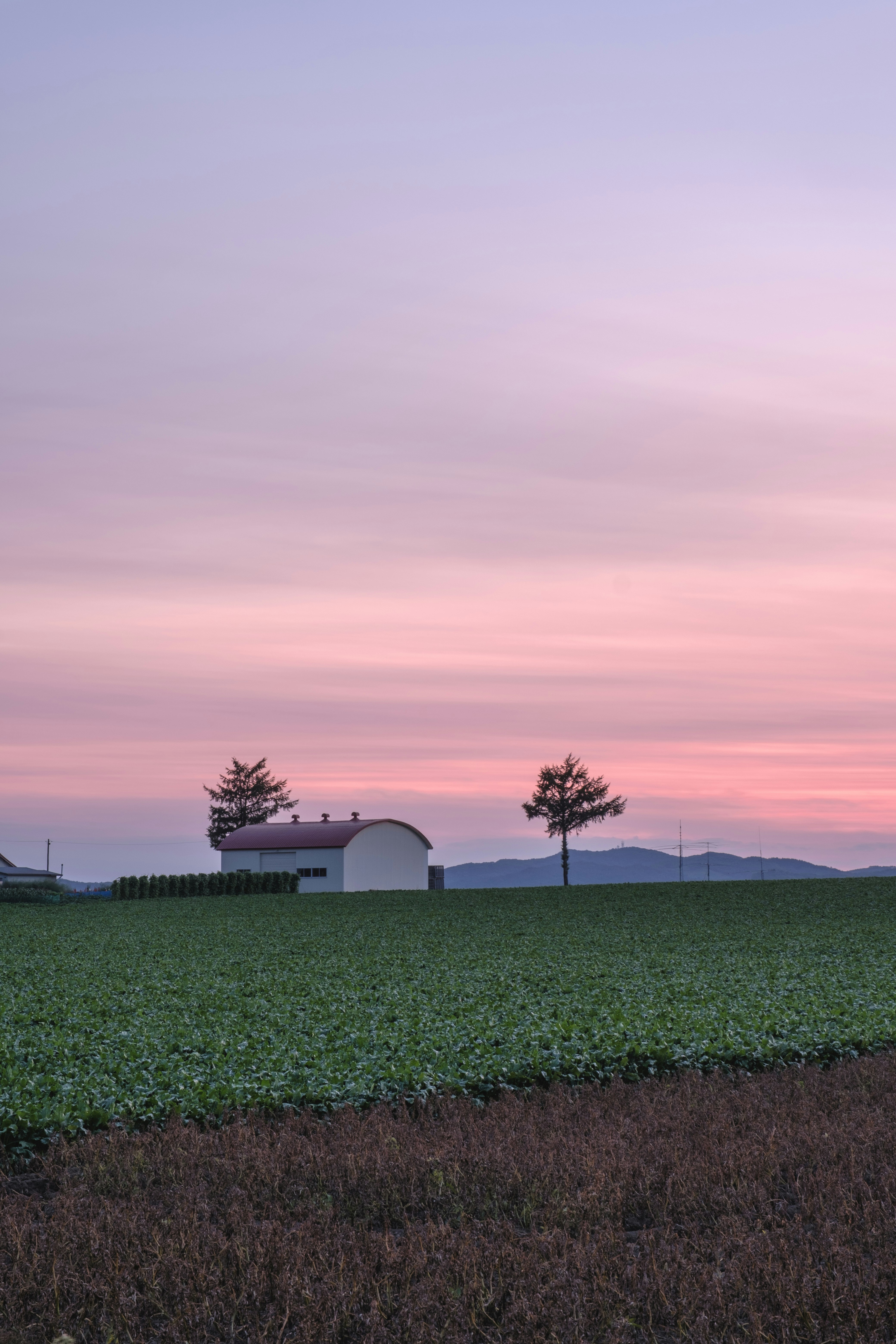 paysage rural au crépuscule avec un petit hangar