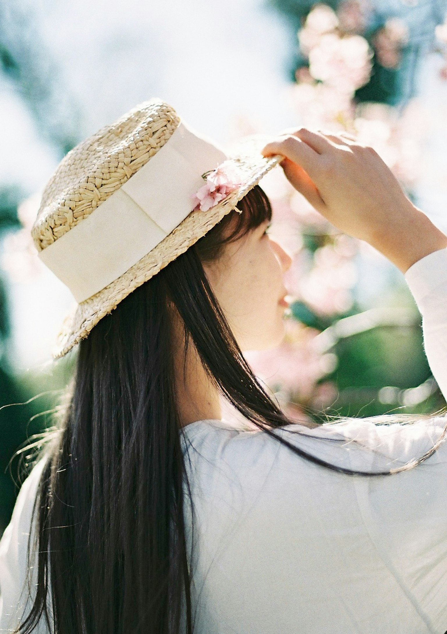 Người phụ nữ đội mũ rơm đang chạm vào mũ của mình giữa hoa anh đào