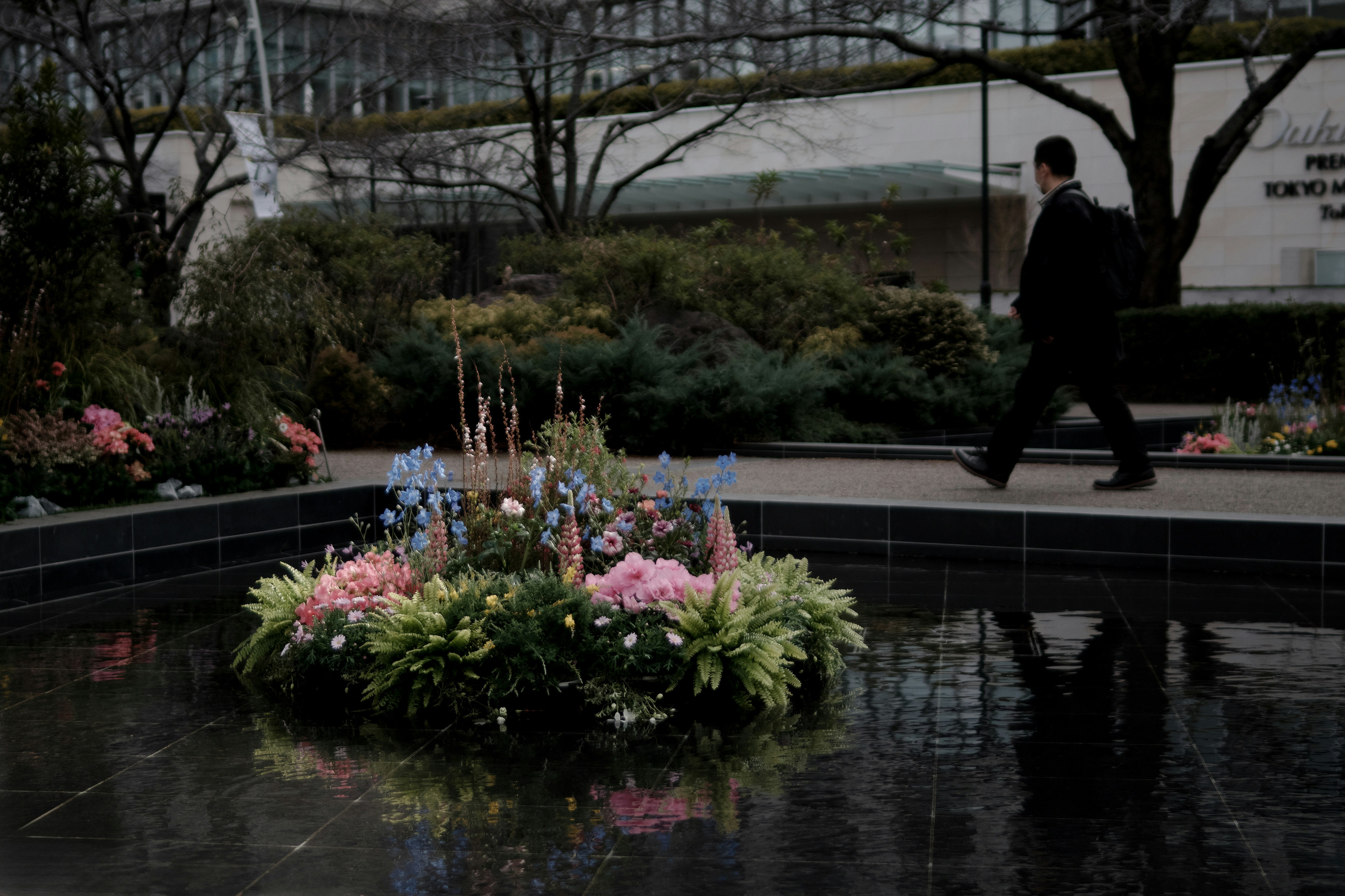 fleurs disposées dans un bassin d’eau avec un arrière-plan de type ville