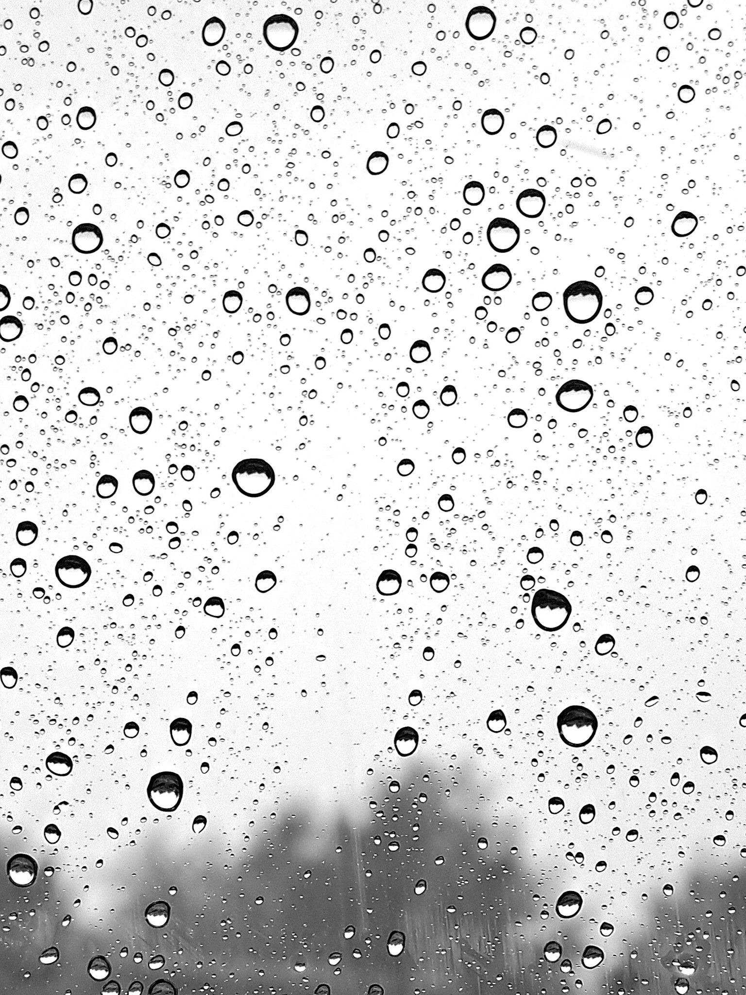 photo-XmwioFgcA0N1DV1PpiRq-image