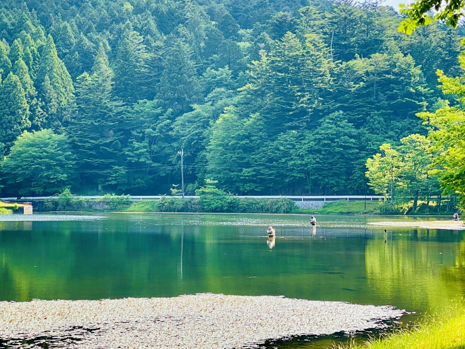 Persone che pescano in un lago sereno circondato da montagne verdi