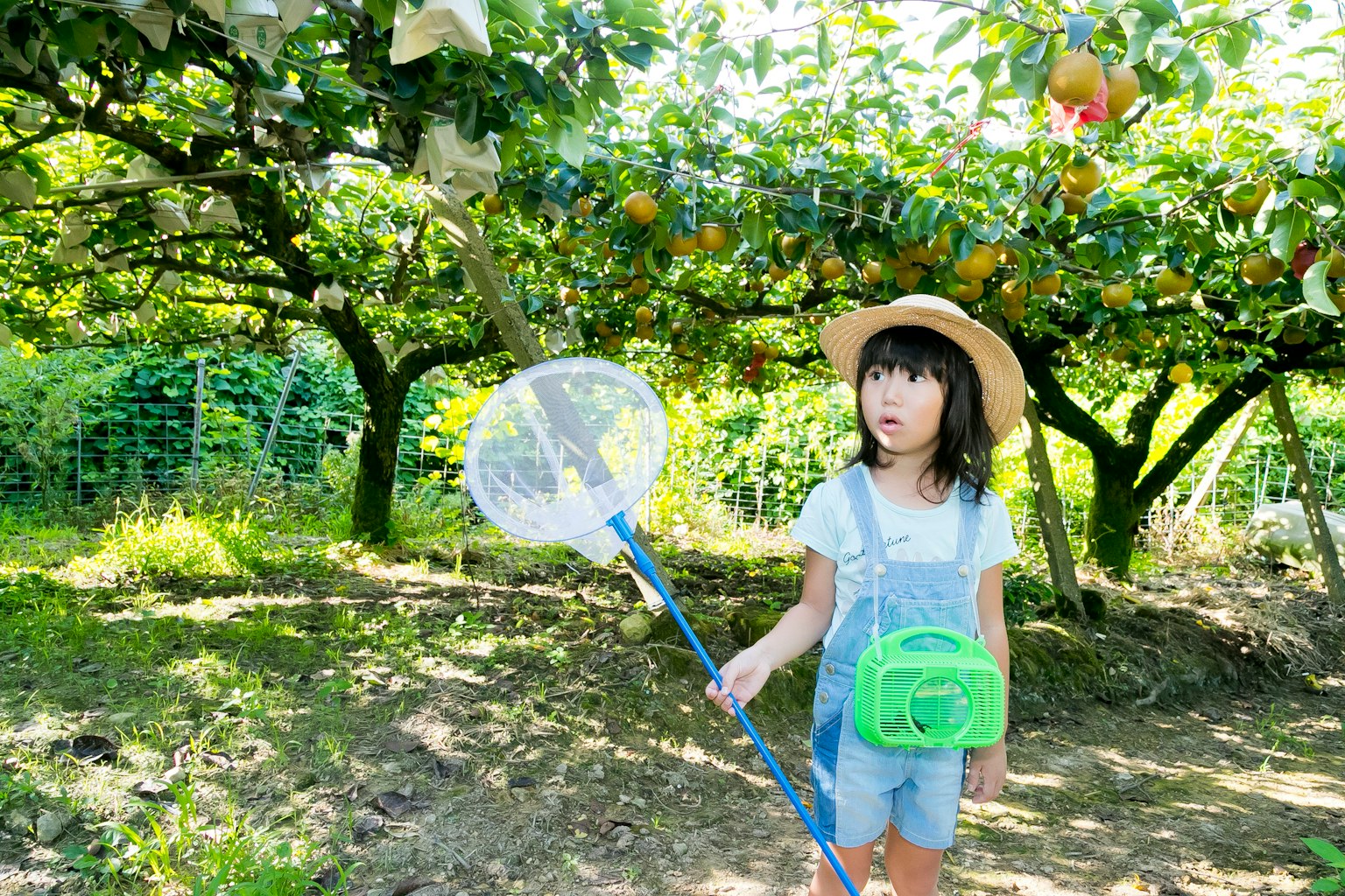 Anak memegang jaring di kebun buah yang subur