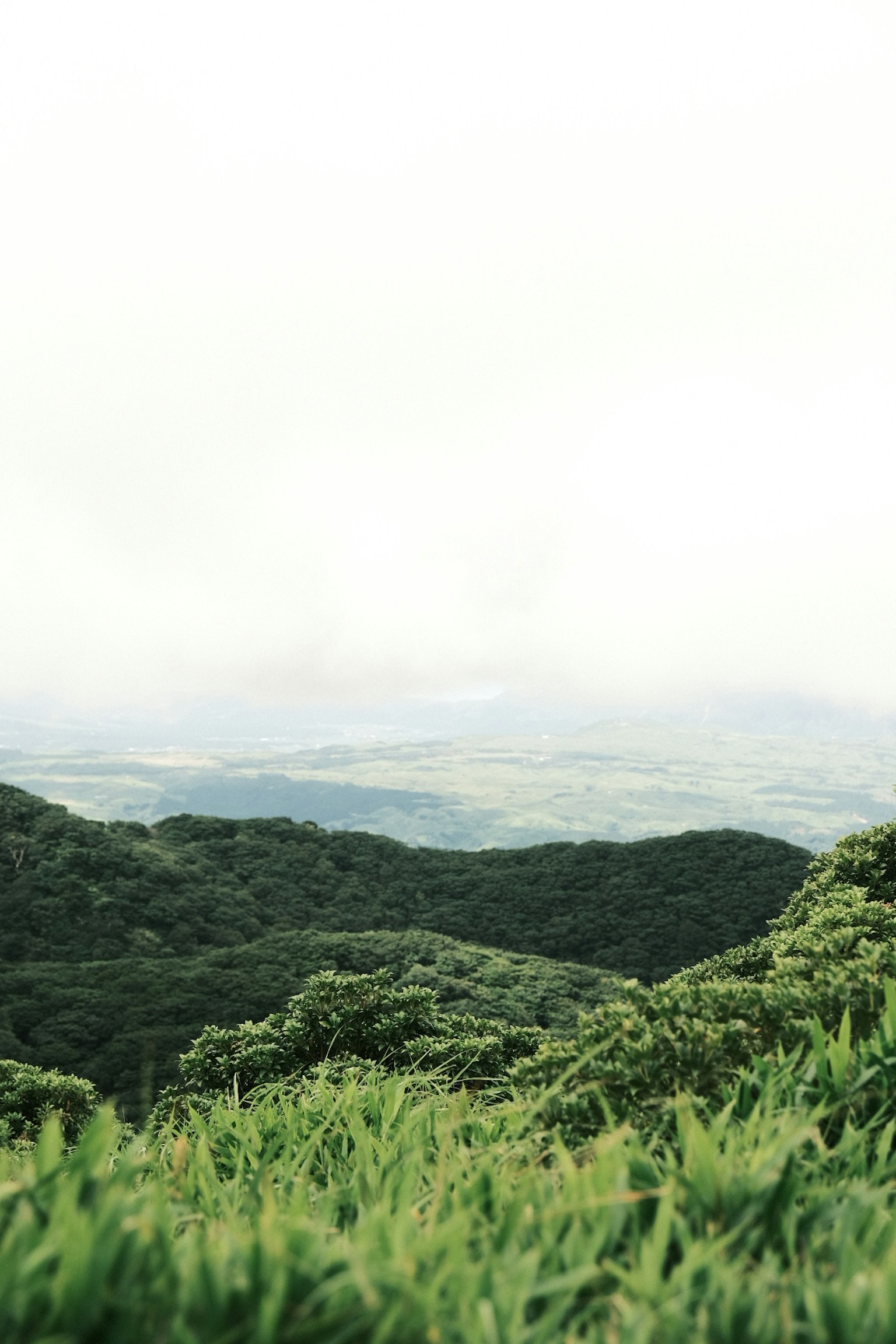 郁郁葱葱的山脉和多云的天空