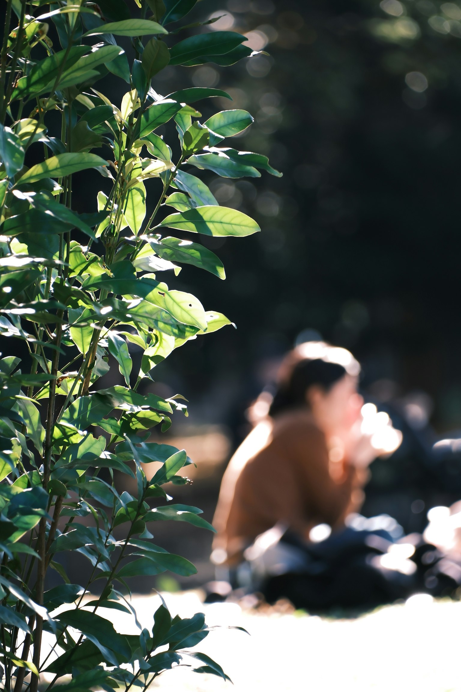 Une femme tenant une boisson assise dans un parc entourée de verdure