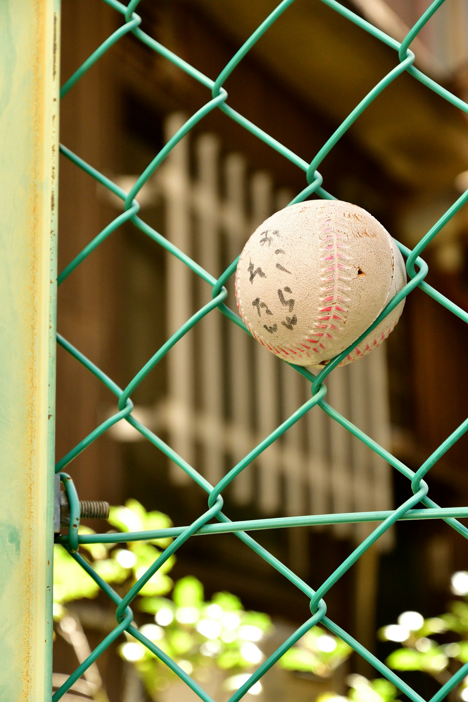 Una vecchia palla da baseball bloccata su una rete verde