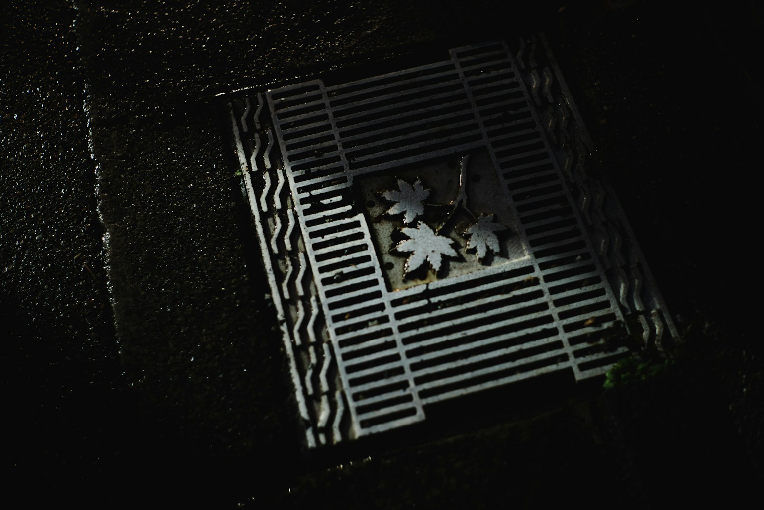 Couvercle de drain blanc sur une rue sombre avec des motifs floraux