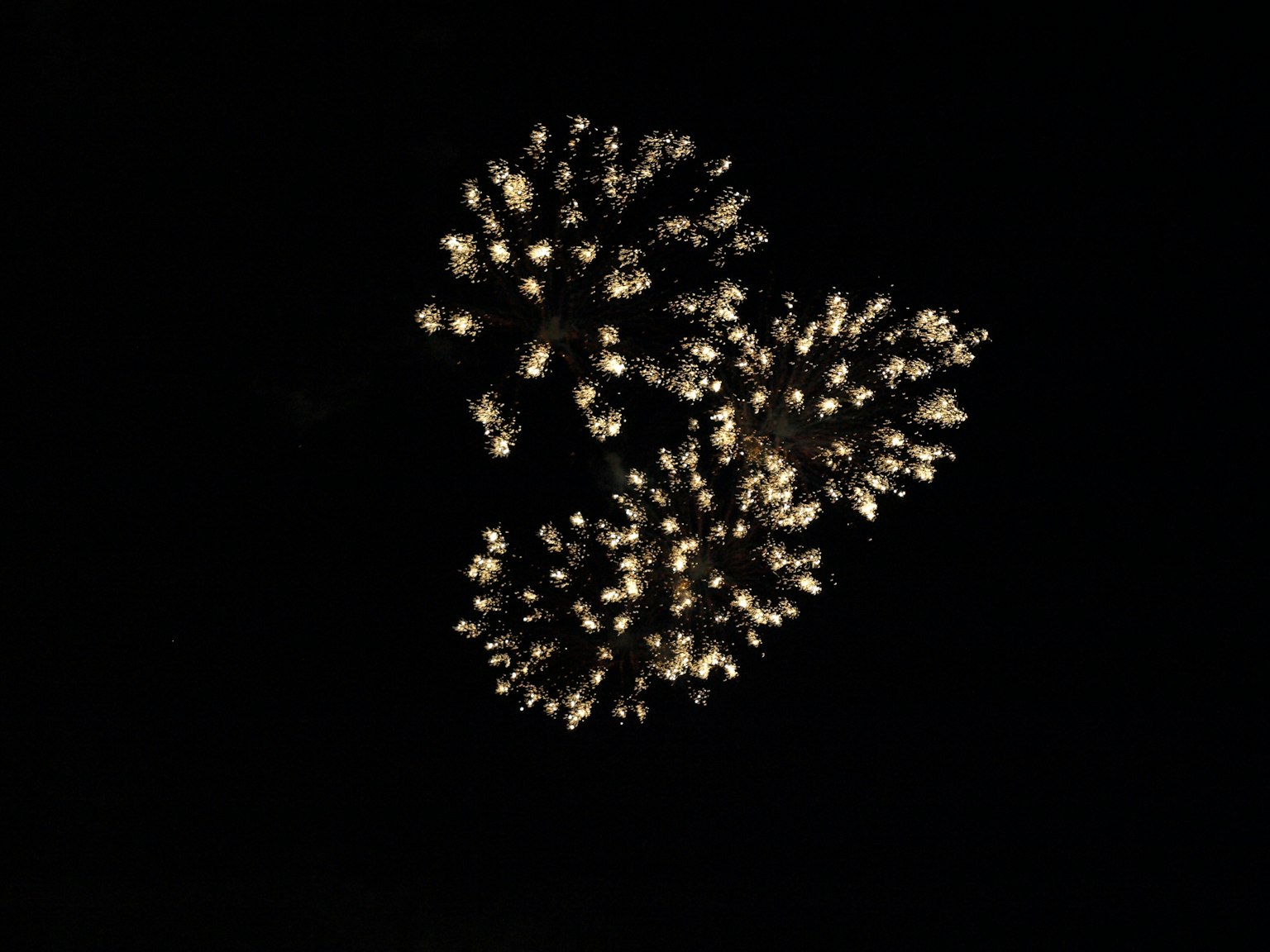 Explosions de feux d'artifice dorés sur fond noir