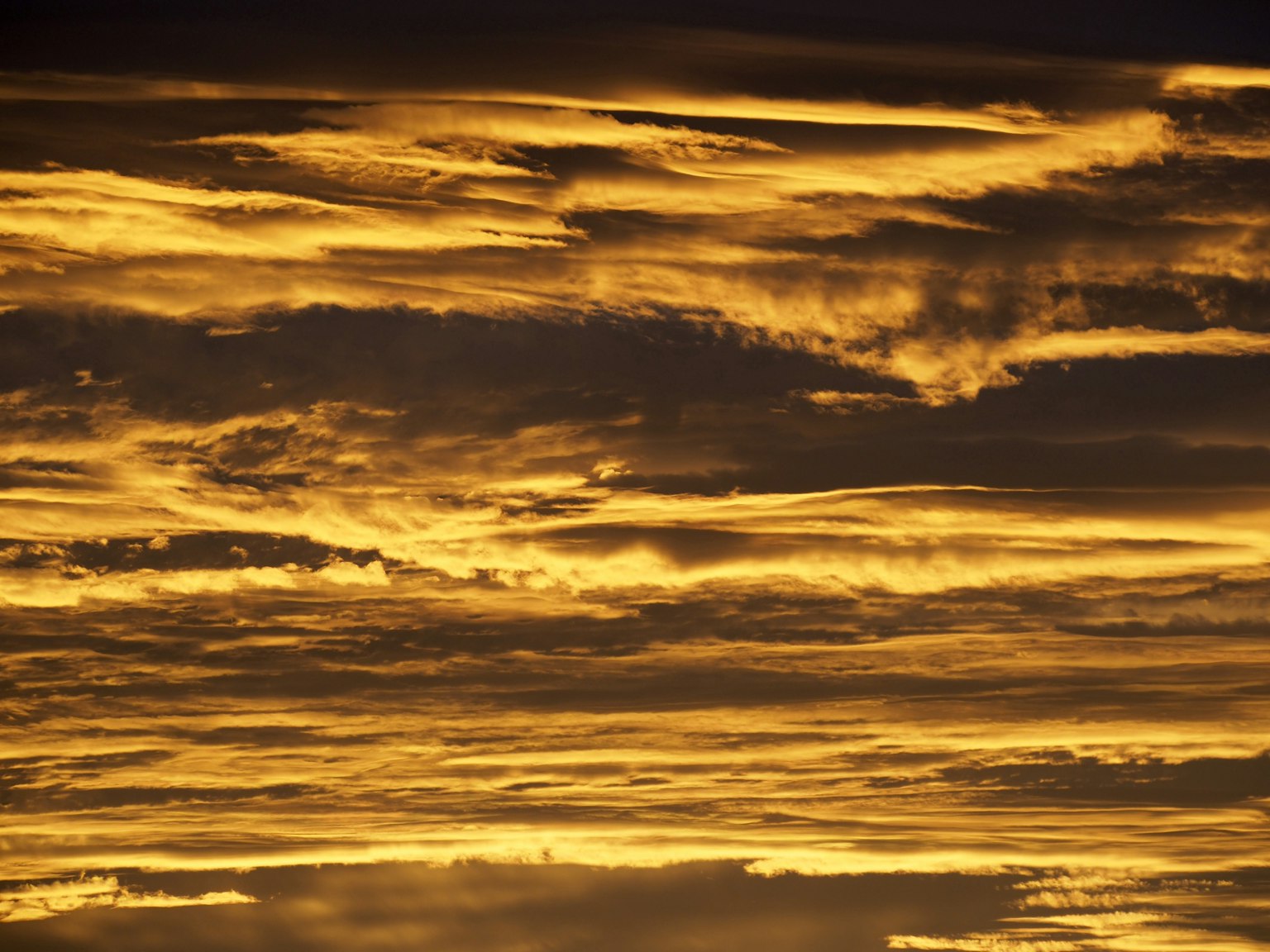 Cielo lleno de nubes doradas al atardecer
